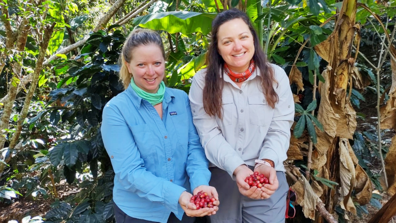 media_9LKBYCCGVYQK9H5G