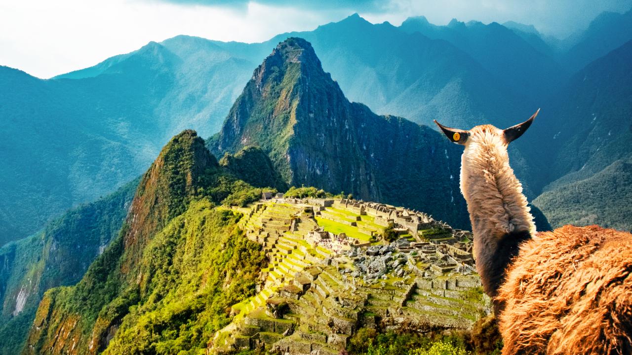 media_CYBM9JE55J5UTPYL