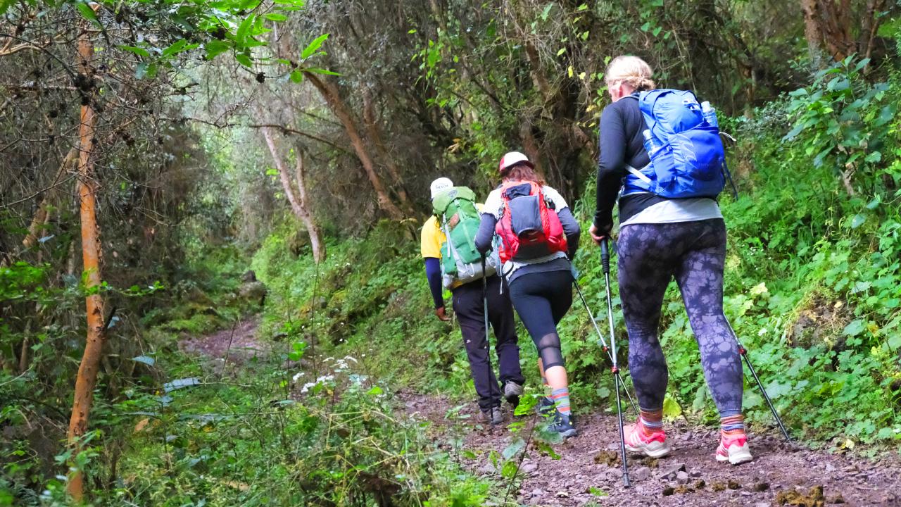 media_SFXBRNMEK3LXRFS8