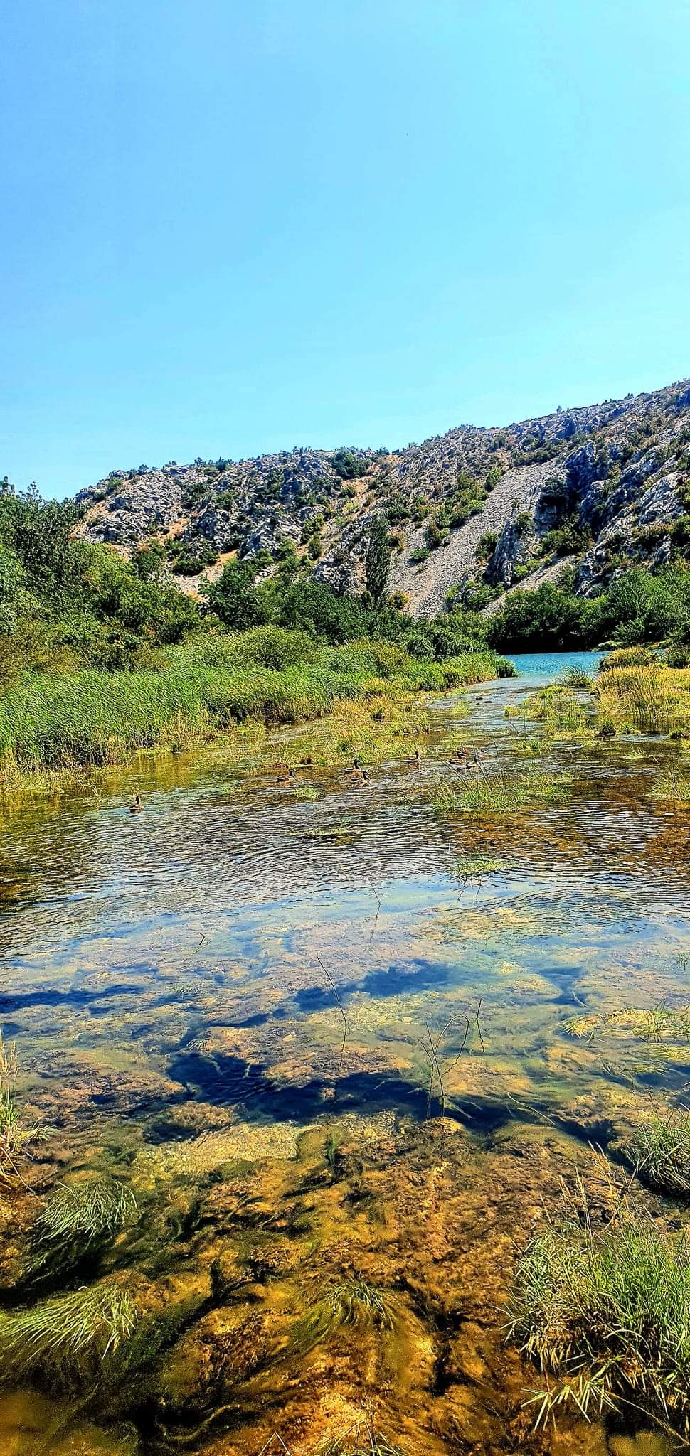 media_92MJ2ZTJDWEMHHZ9