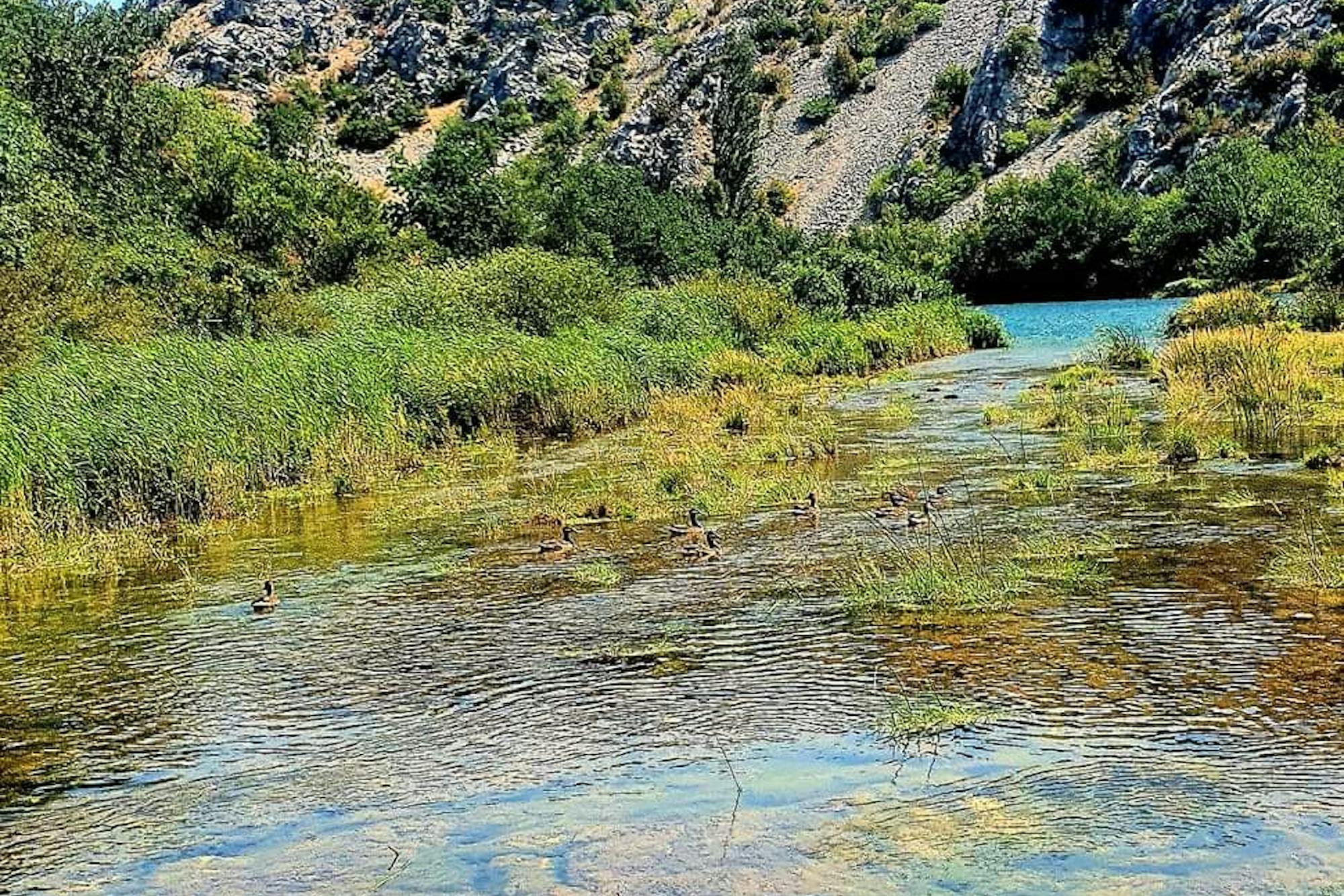 media_92MJ2ZTJDWEMHHZ9