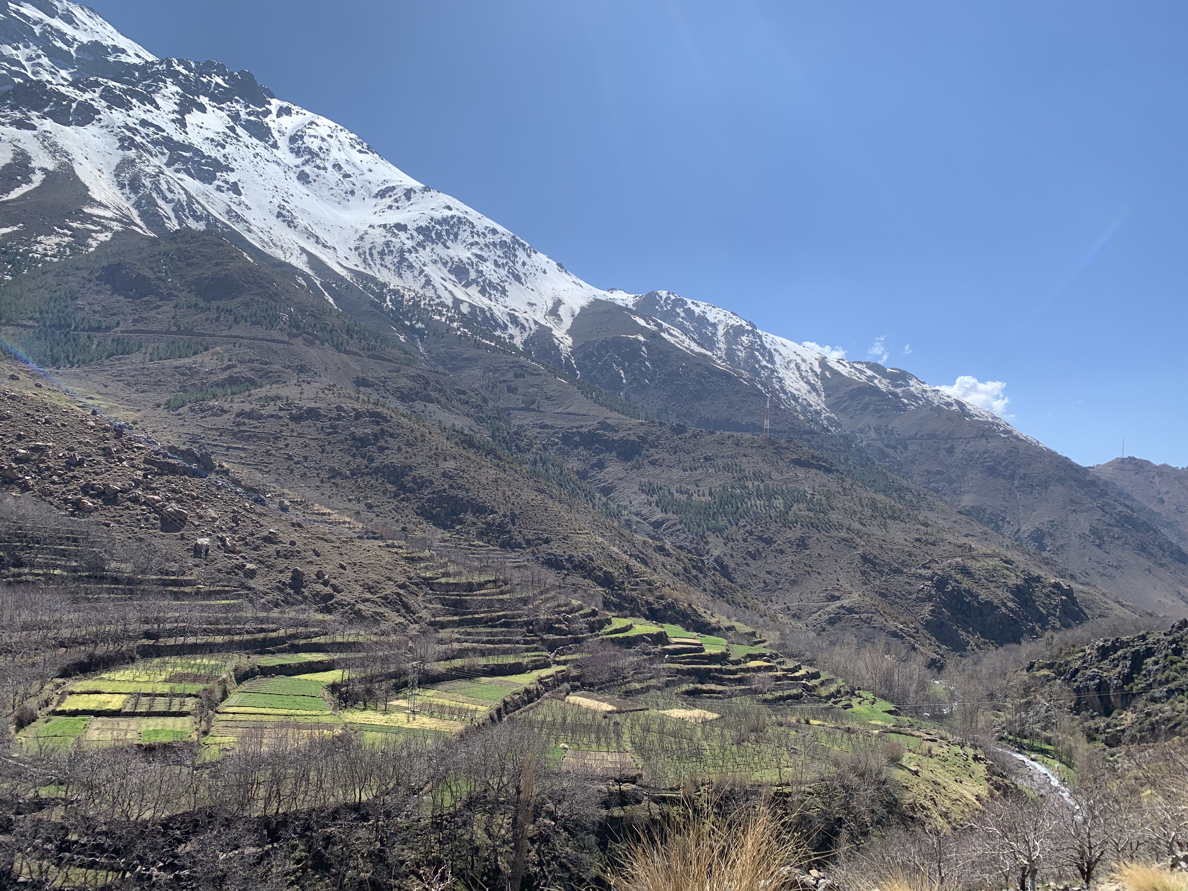 media_642V2XQ686EU5VKR