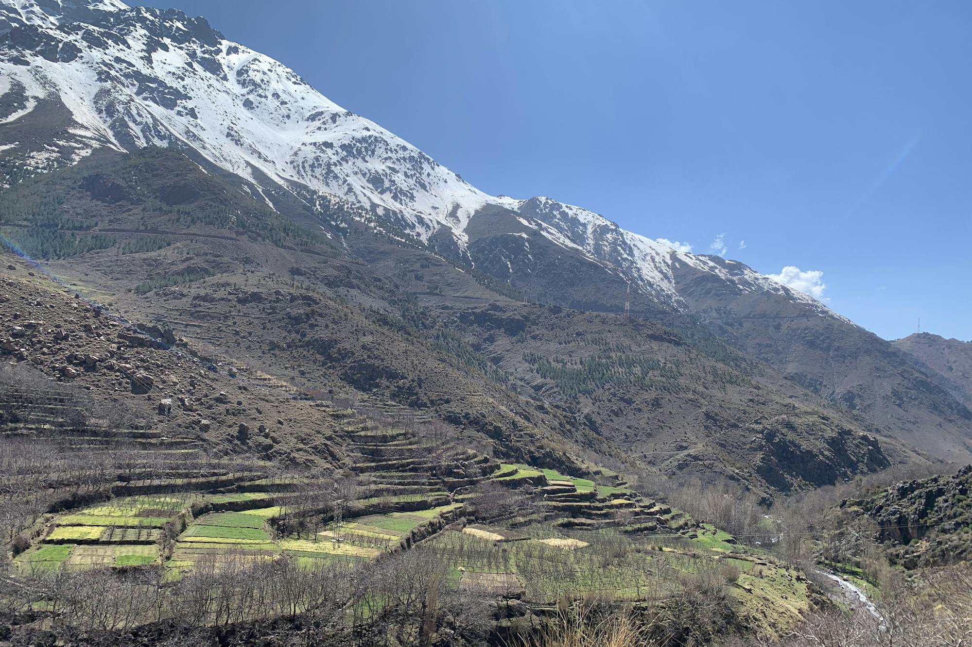 media_642V2XQ686EU5VKR