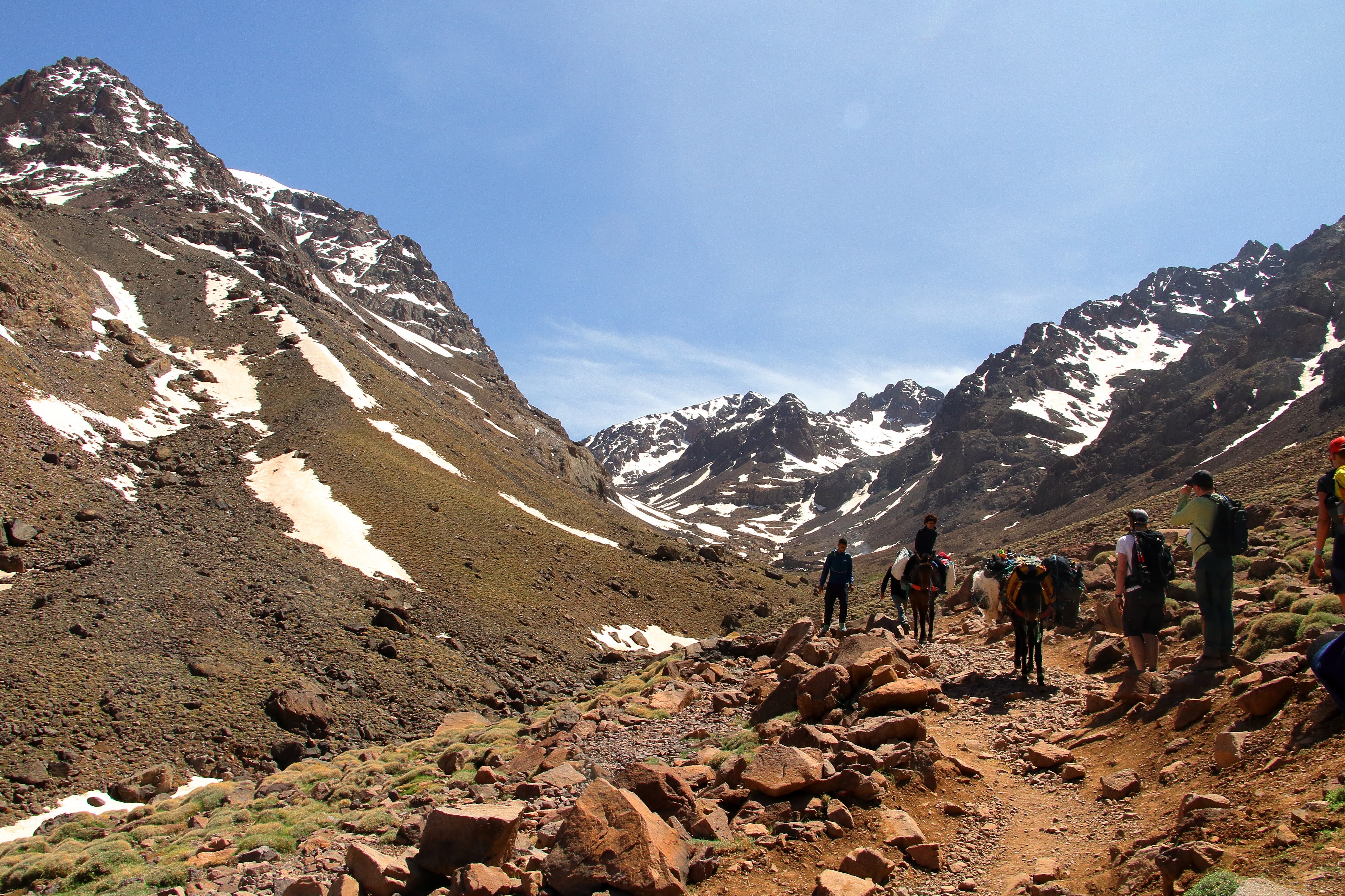 media_8U9BVSYV3WDNDQ2A