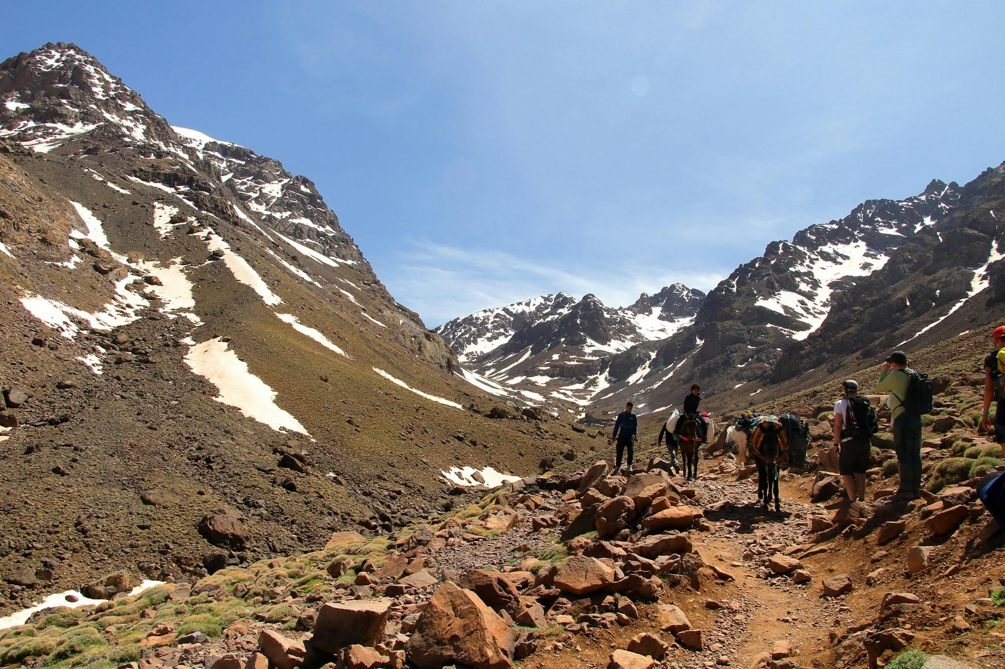 media_8U9BVSYV3WDNDQ2A