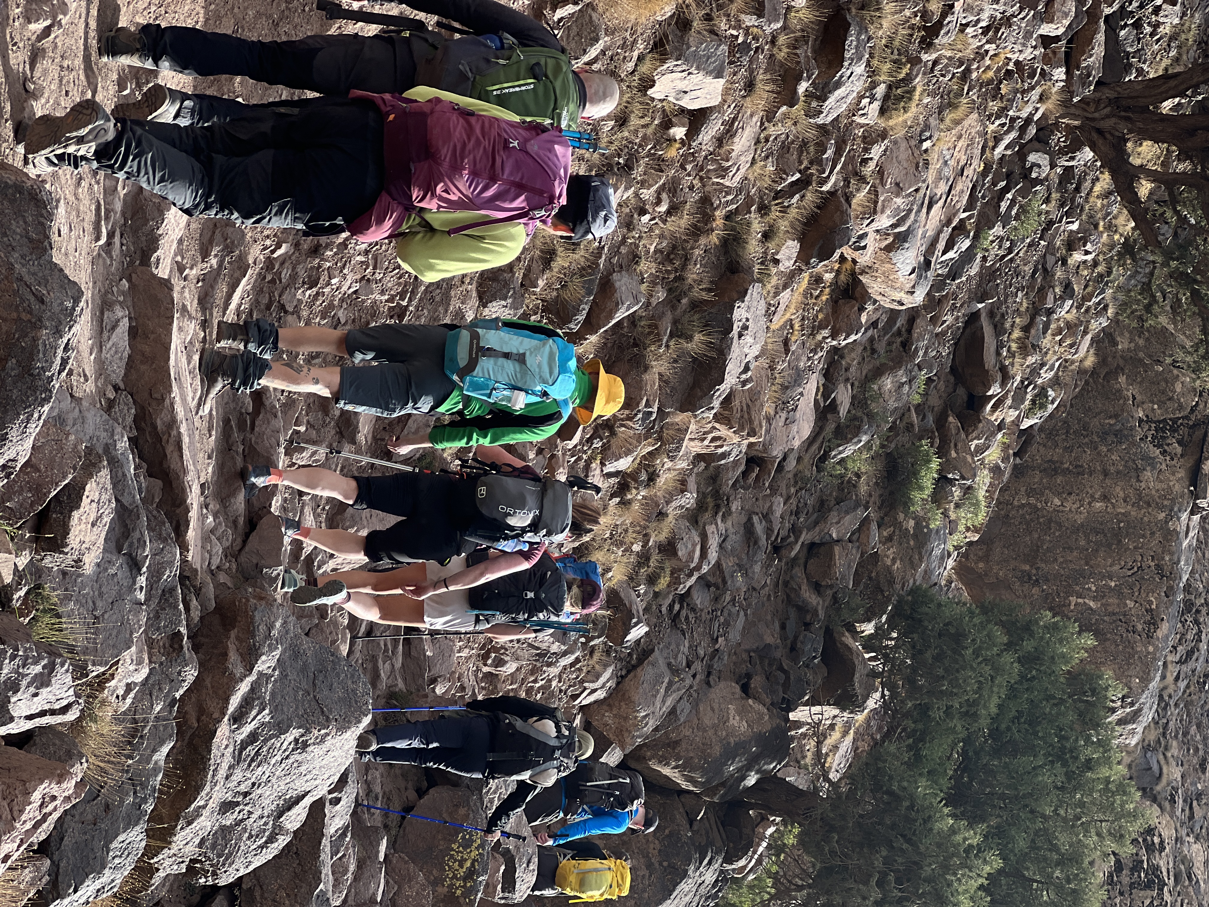 media_APJ4ADPMZ3K5AT5Z