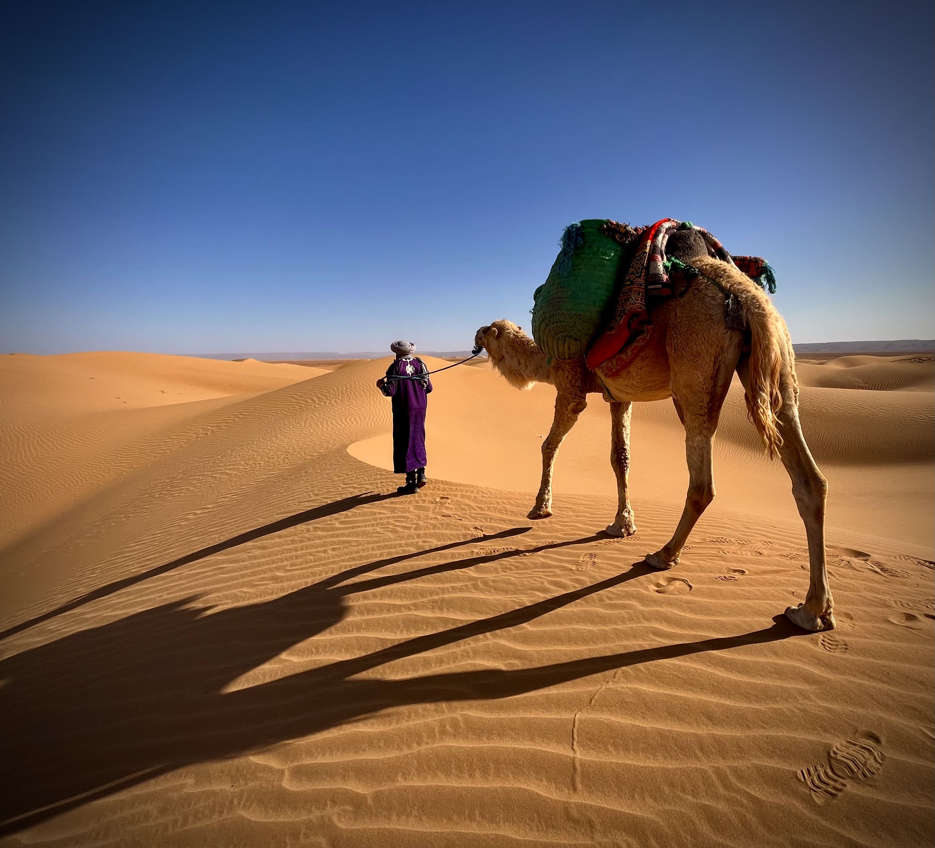 Trek the Sahara Desert