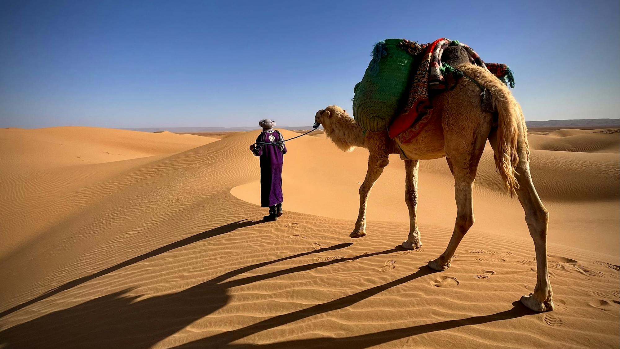 Trek the Sahara Desert