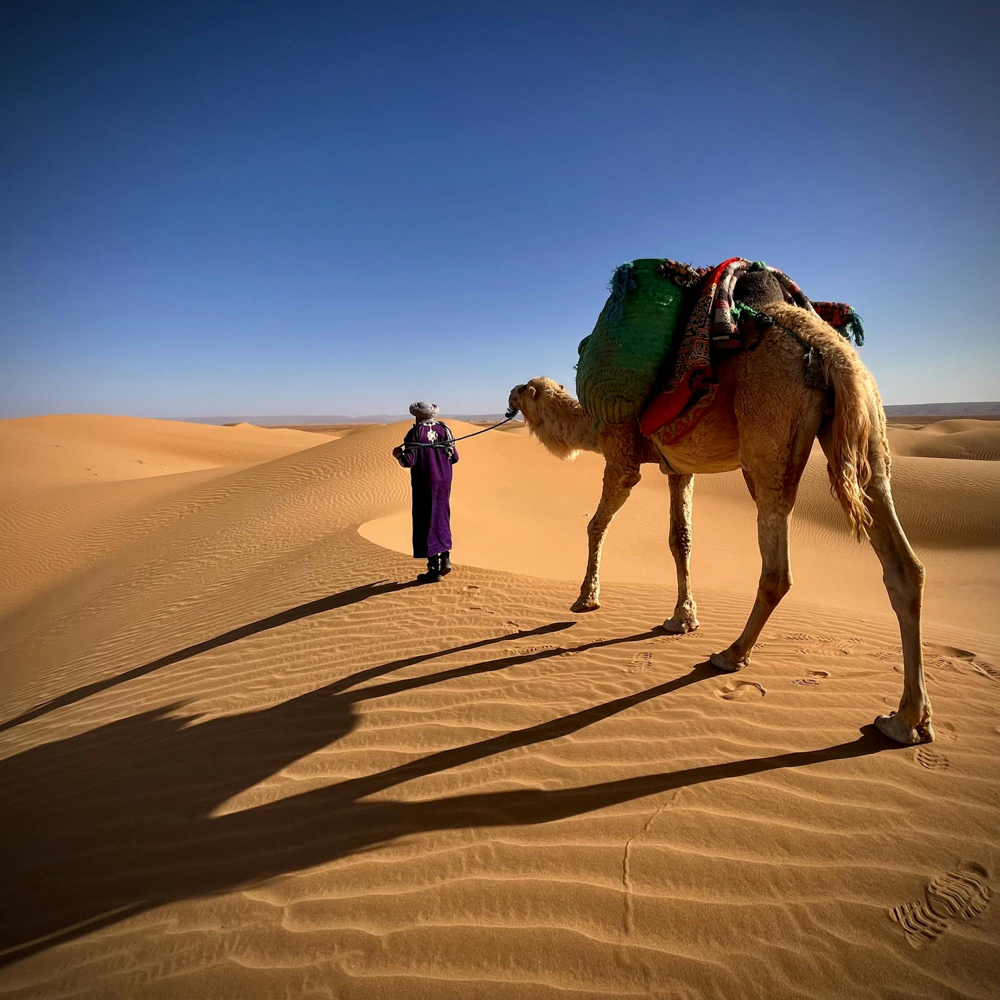 Trek the Sahara Desert