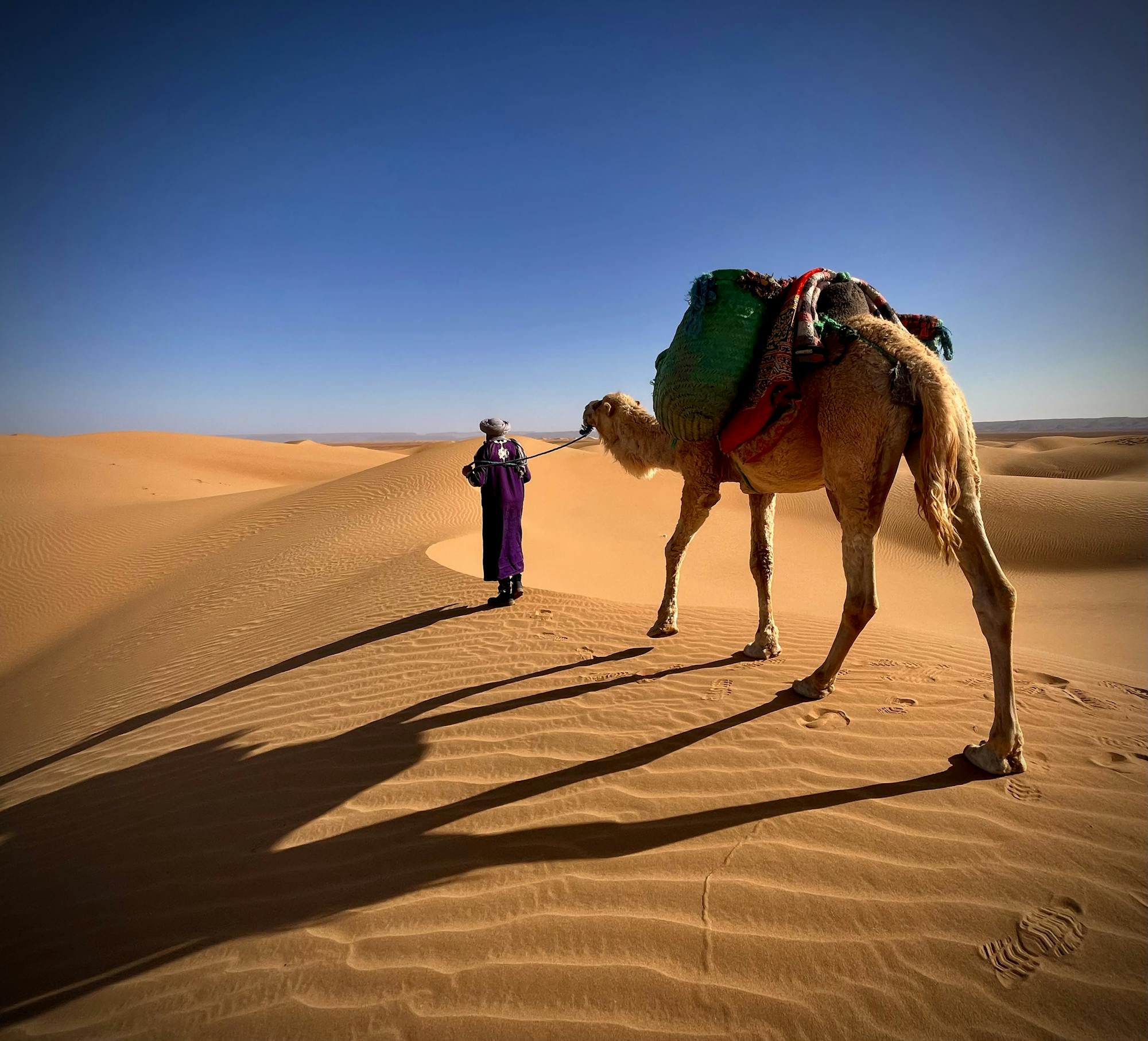 Trek the Sahara Desert