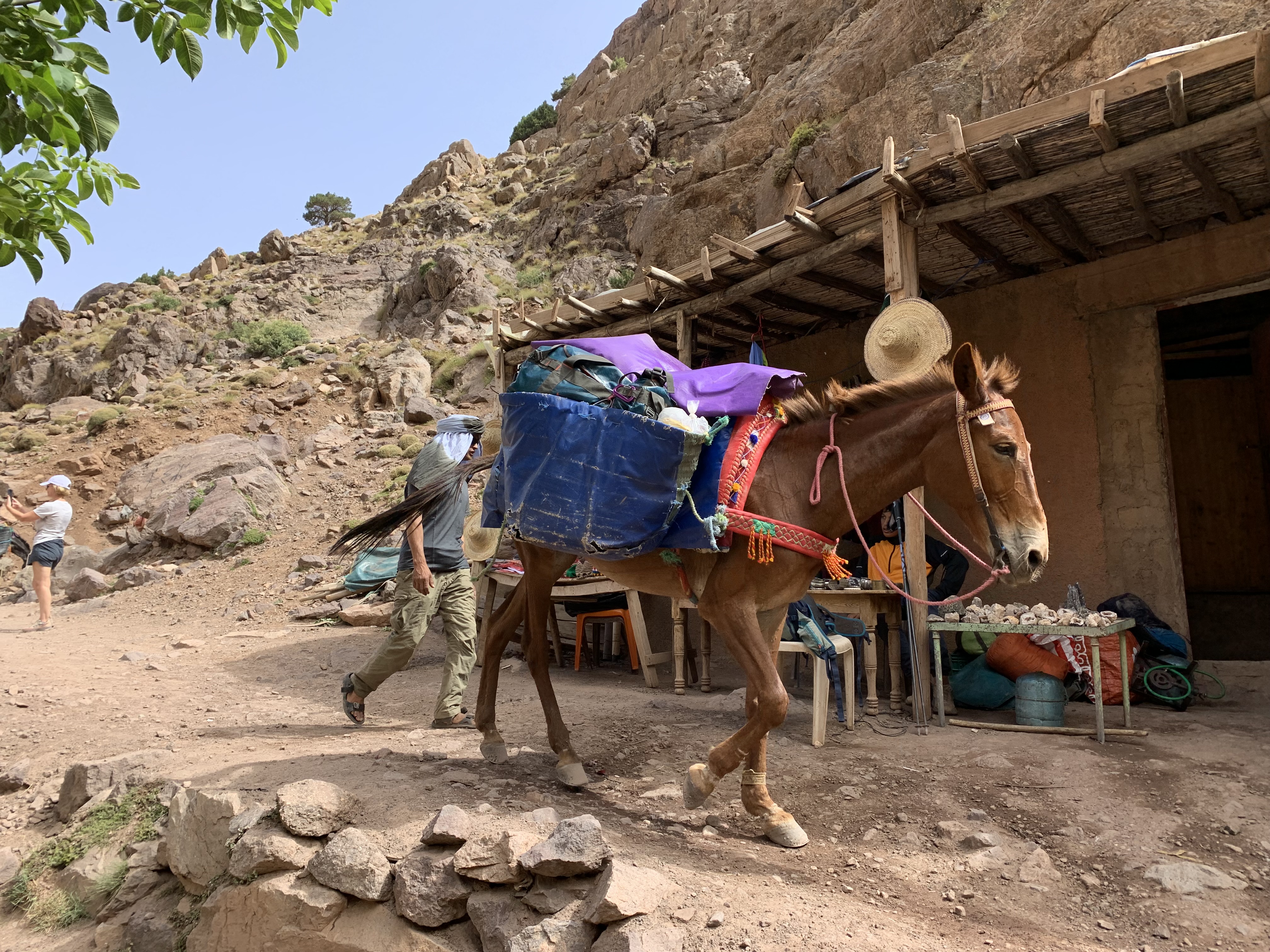 media_MTBJGD579FQ8ZBEP