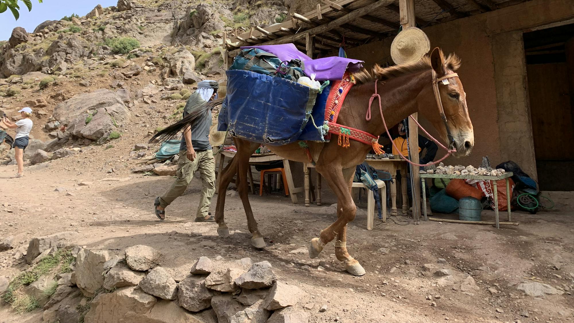 Atlas Mountains & Berber Villages Trek