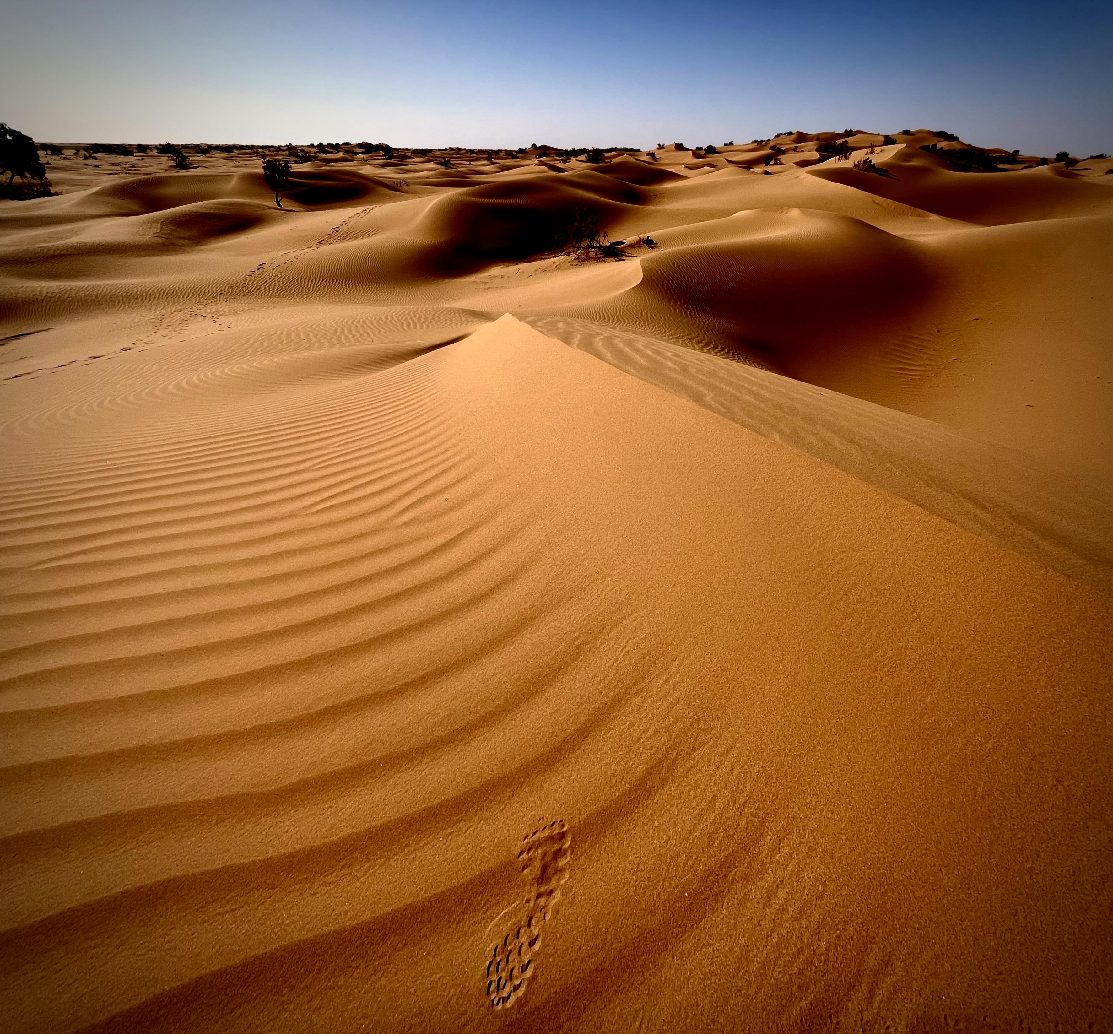 media_N5RJ7TUYM7Q8VLD5