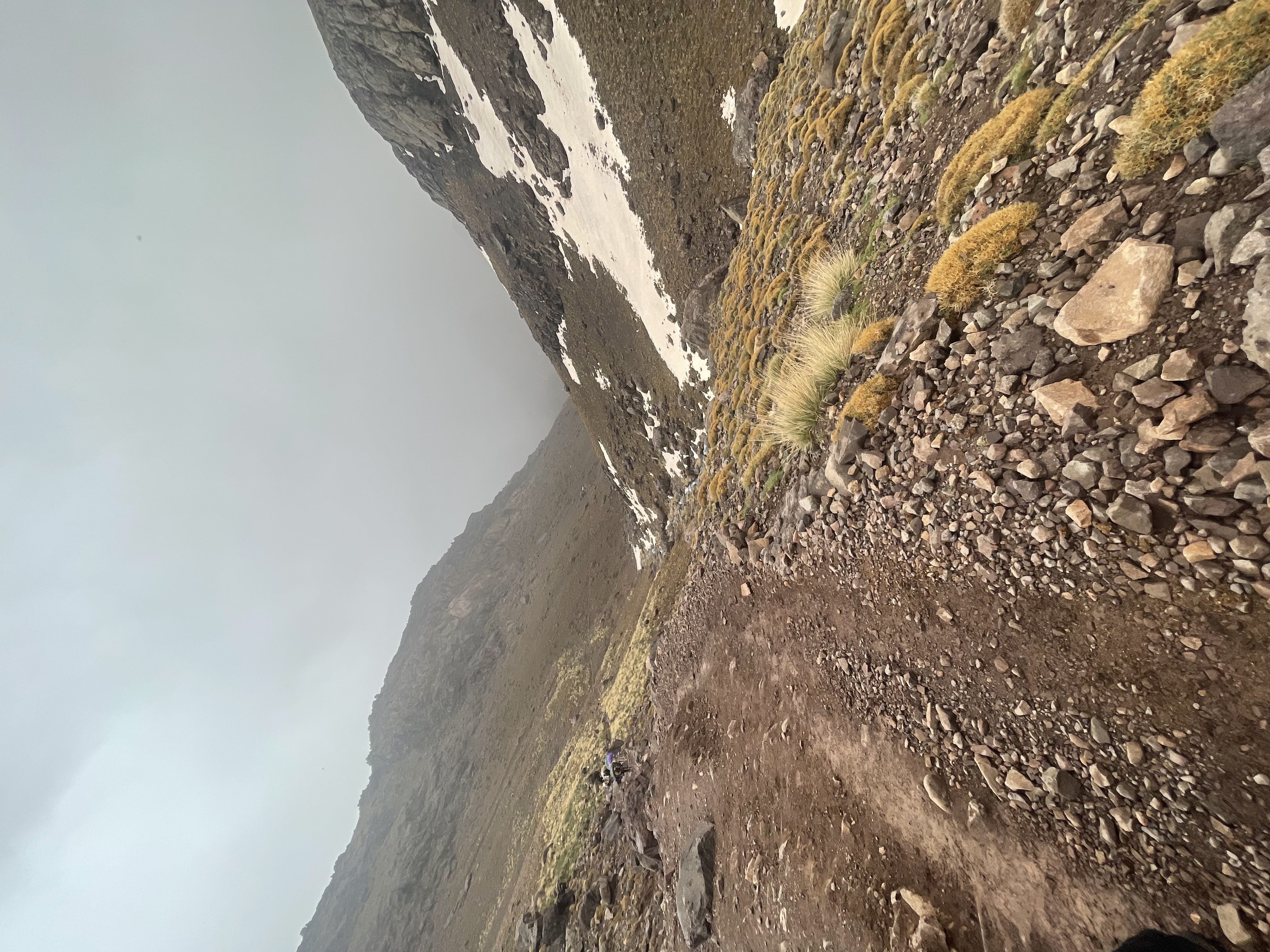 media_R6UUX4ZAL2JNWU3L