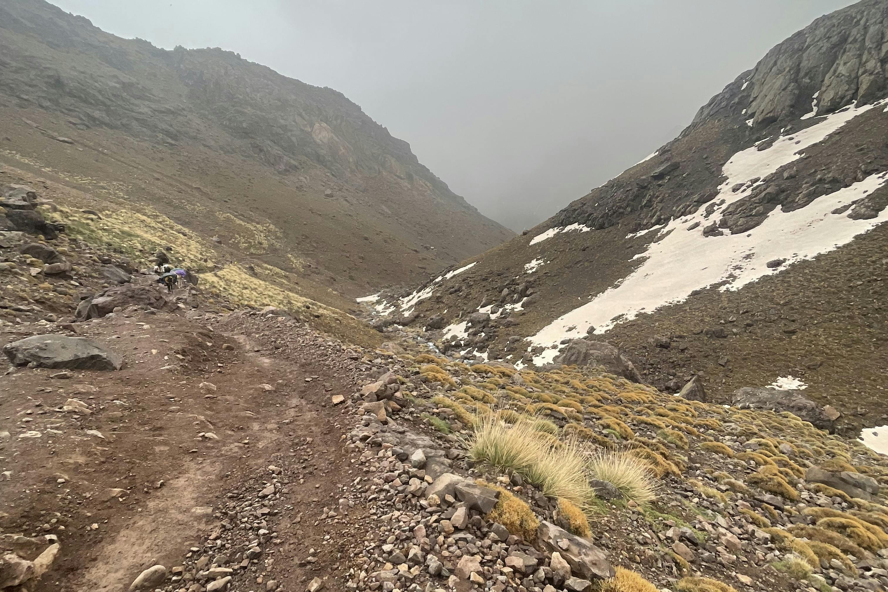 media_R6UUX4ZAL2JNWU3L