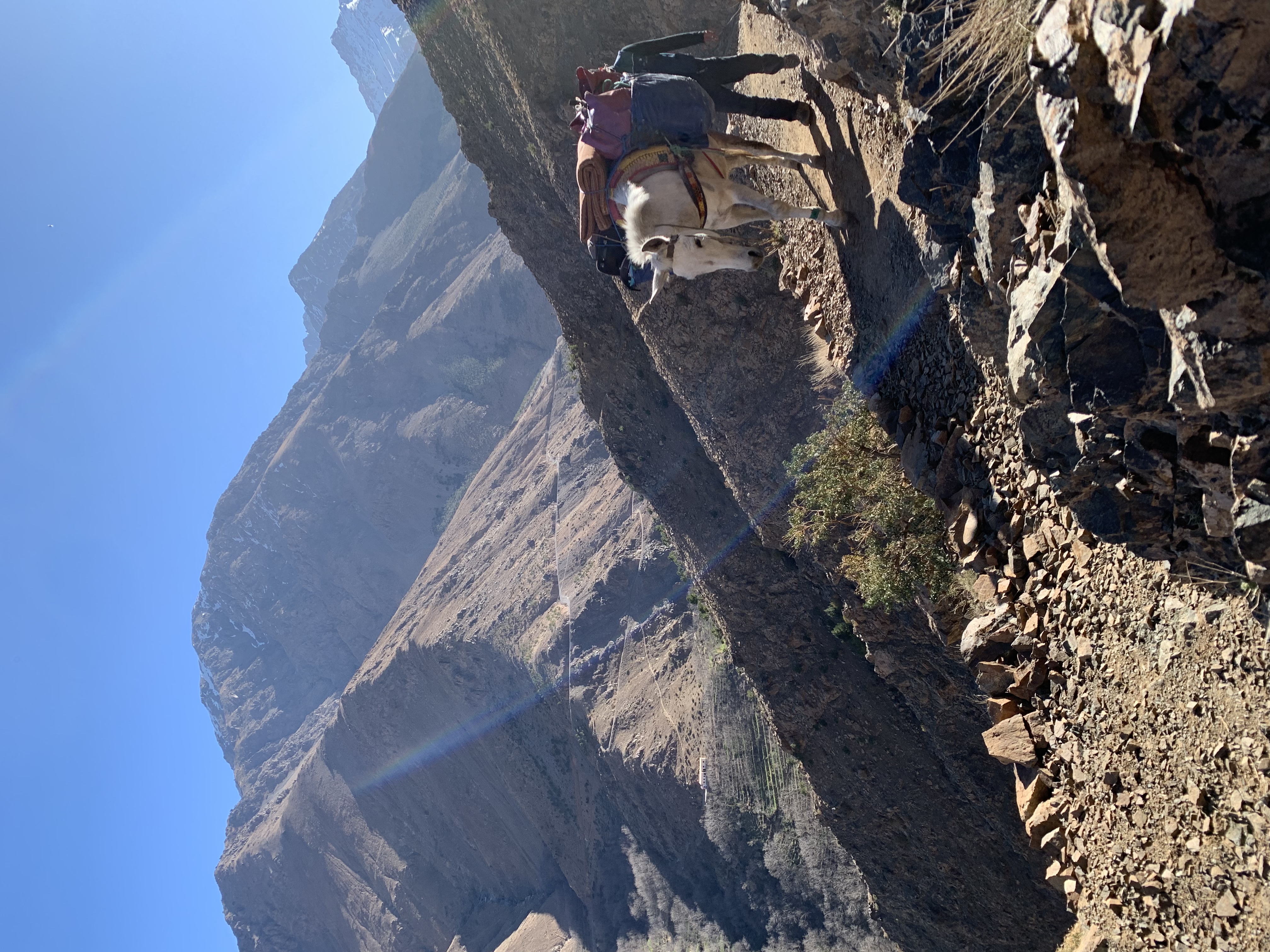 media_SYGA53H25U4BYSAD