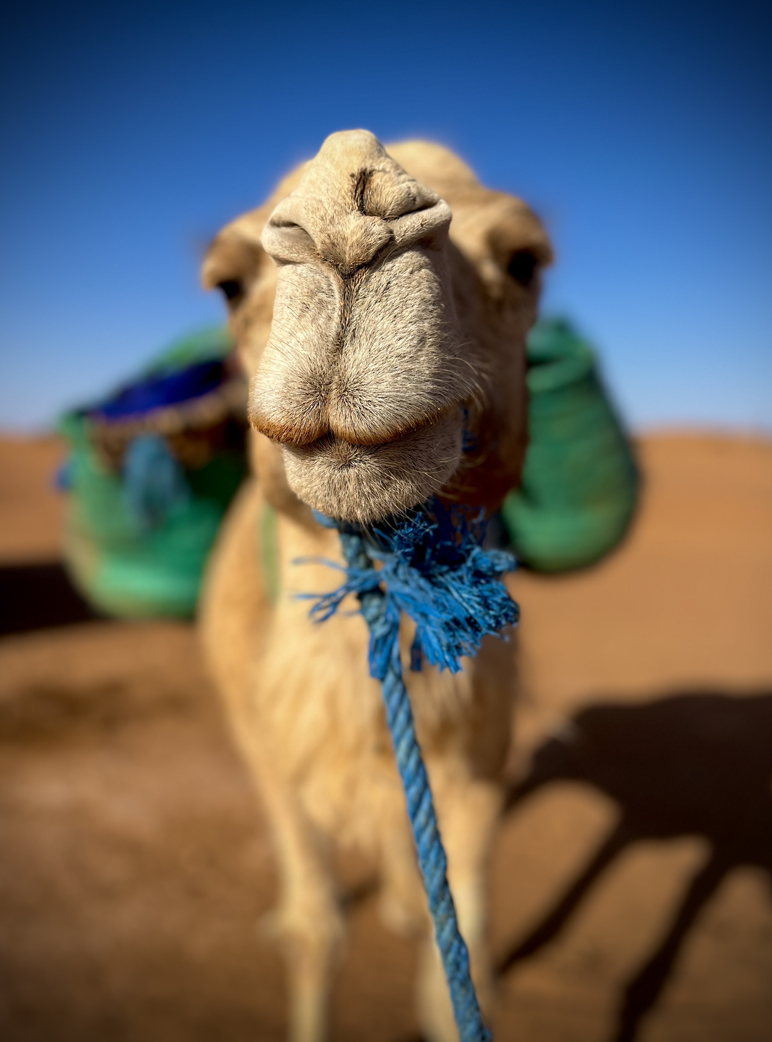 media_T4DN2887YPSJN9Y9