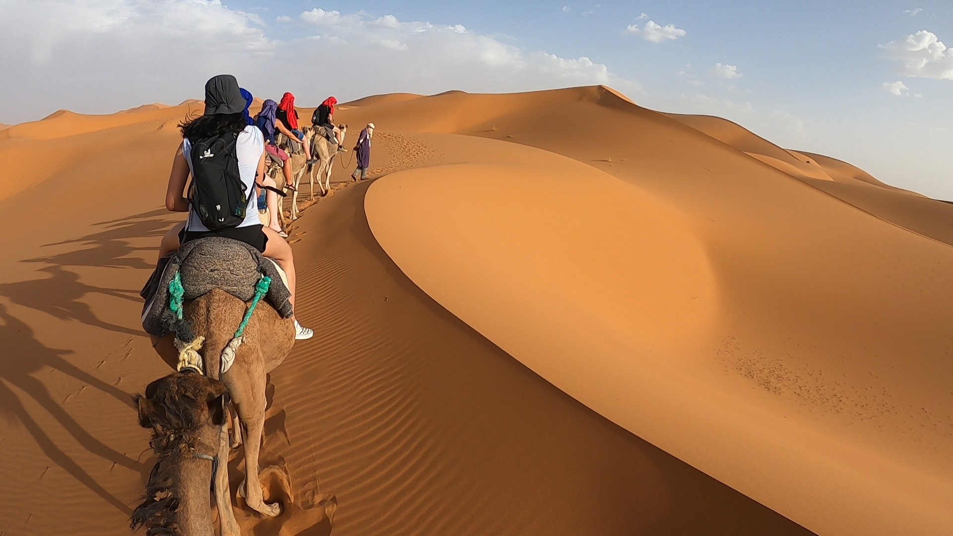 media_VE2B9ZHK8RNGF34B