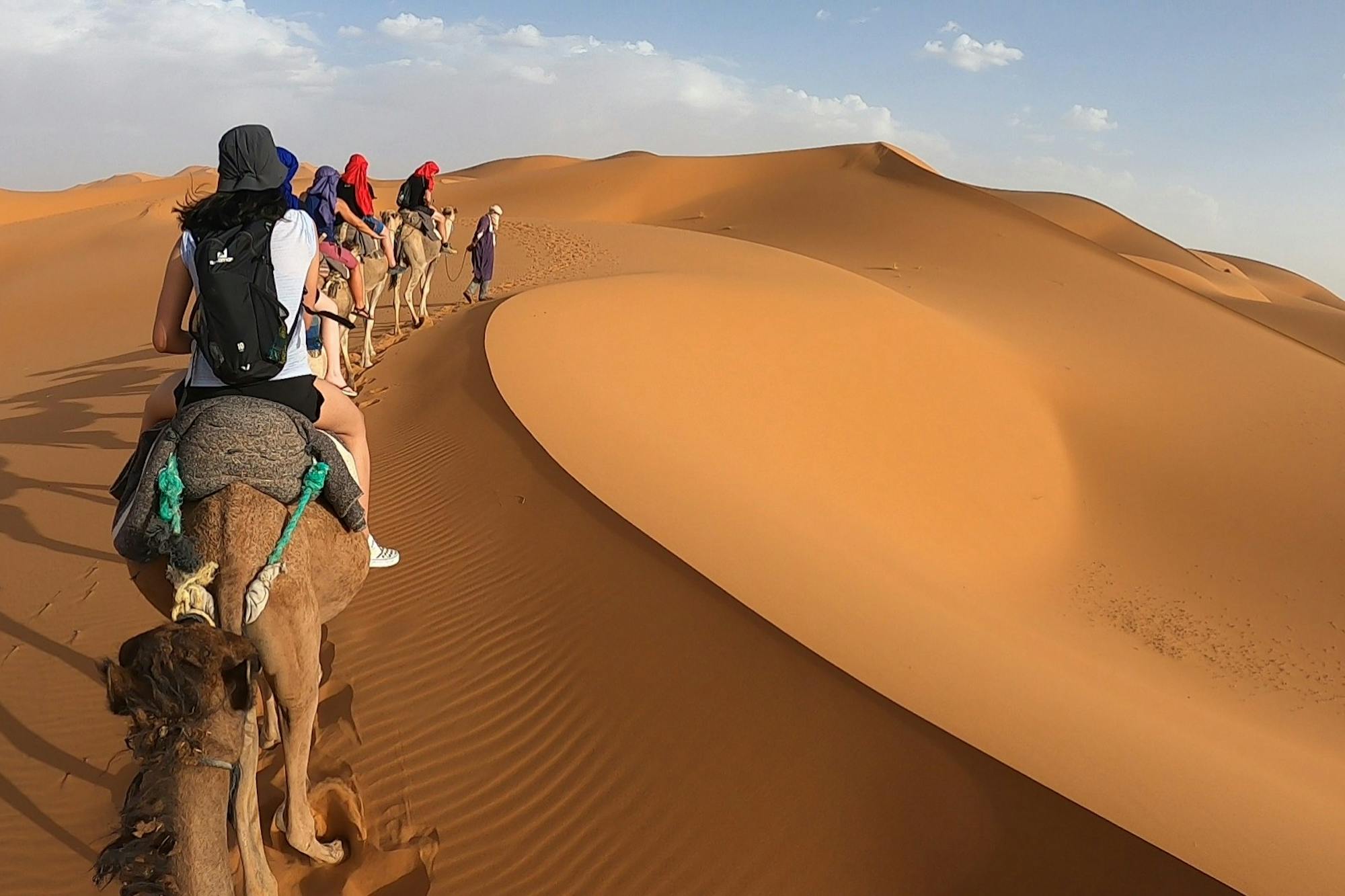 media_VE2B9ZHK8RNGF34B