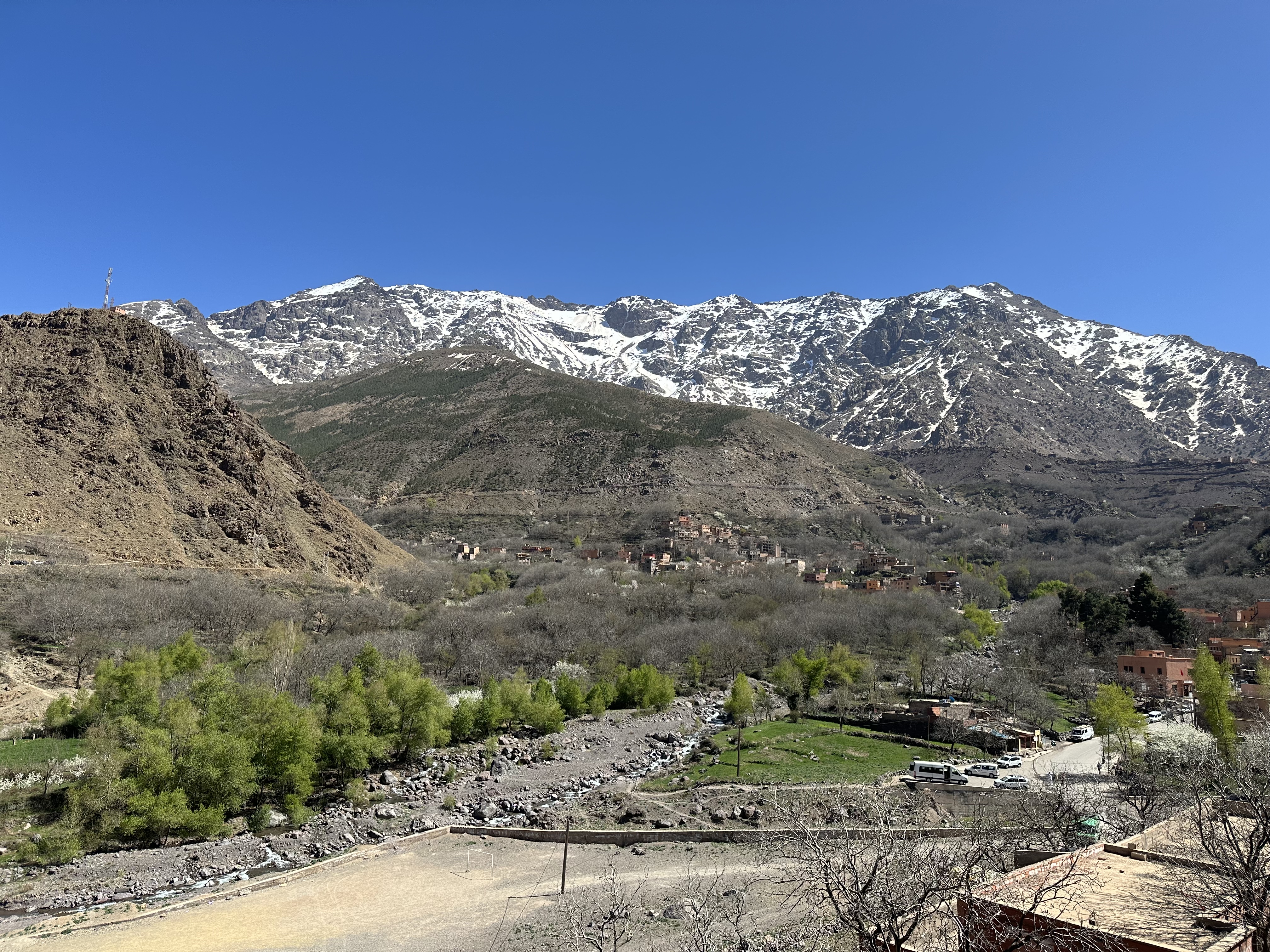 media_W8LFL45PVHSHGWAE