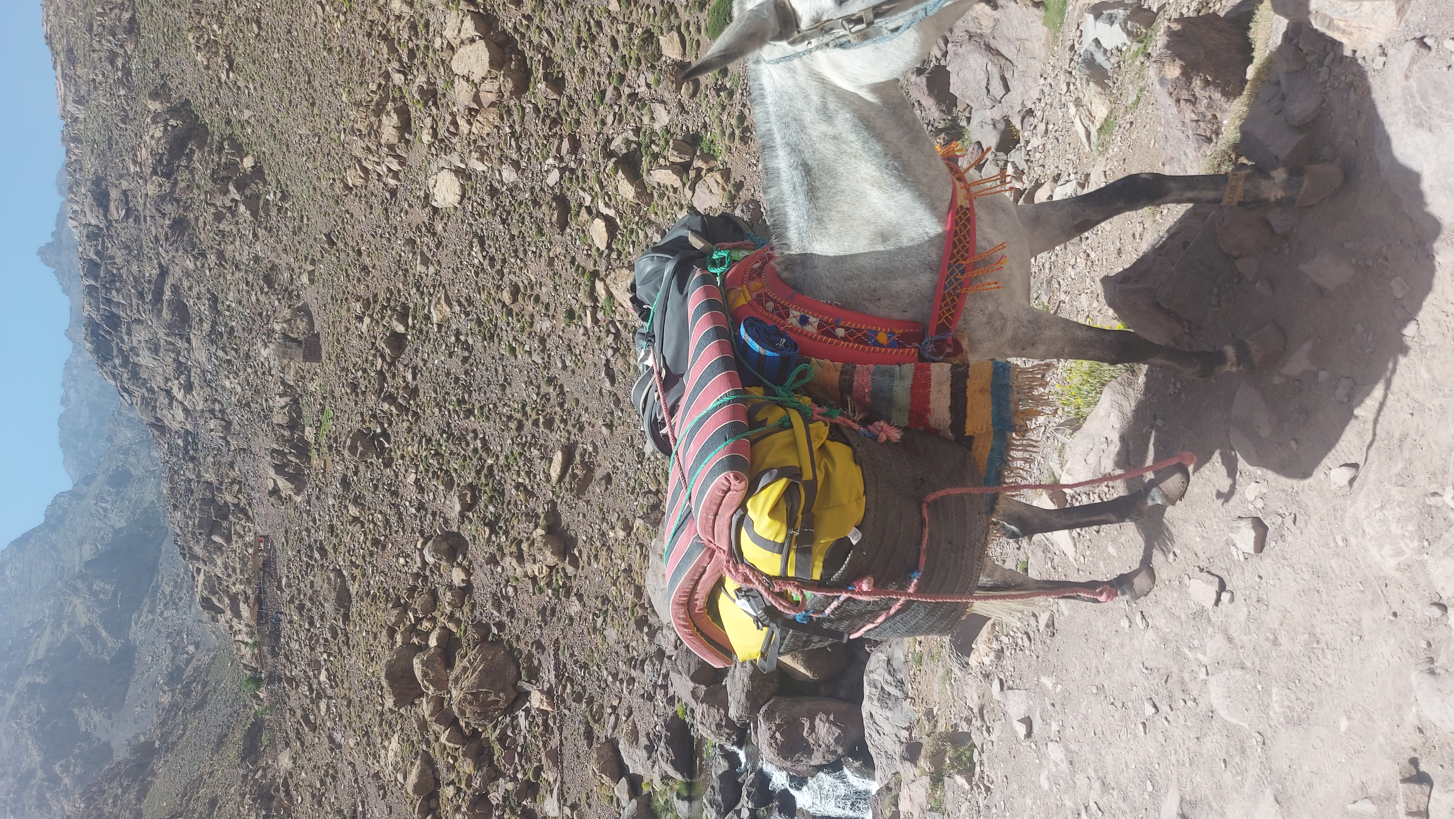 media_Y5JXDXY2ZXXR5DBK