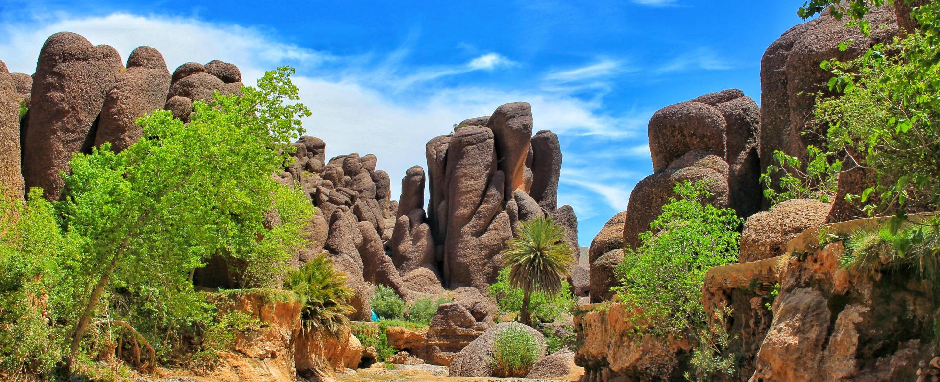 media_Y5P9SFWWU5CMY6VH