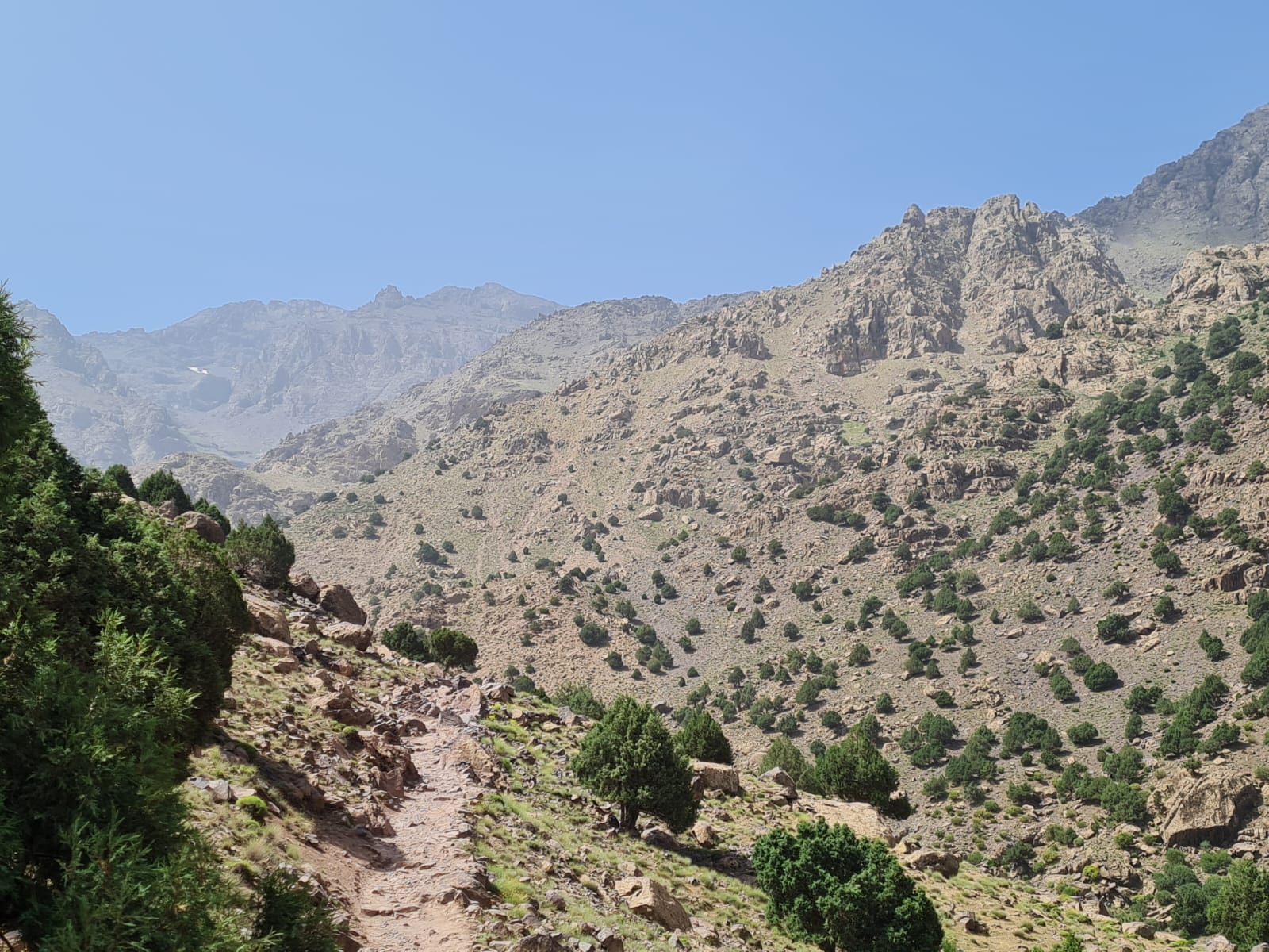 media_ZMY859PCLEBK6FE5