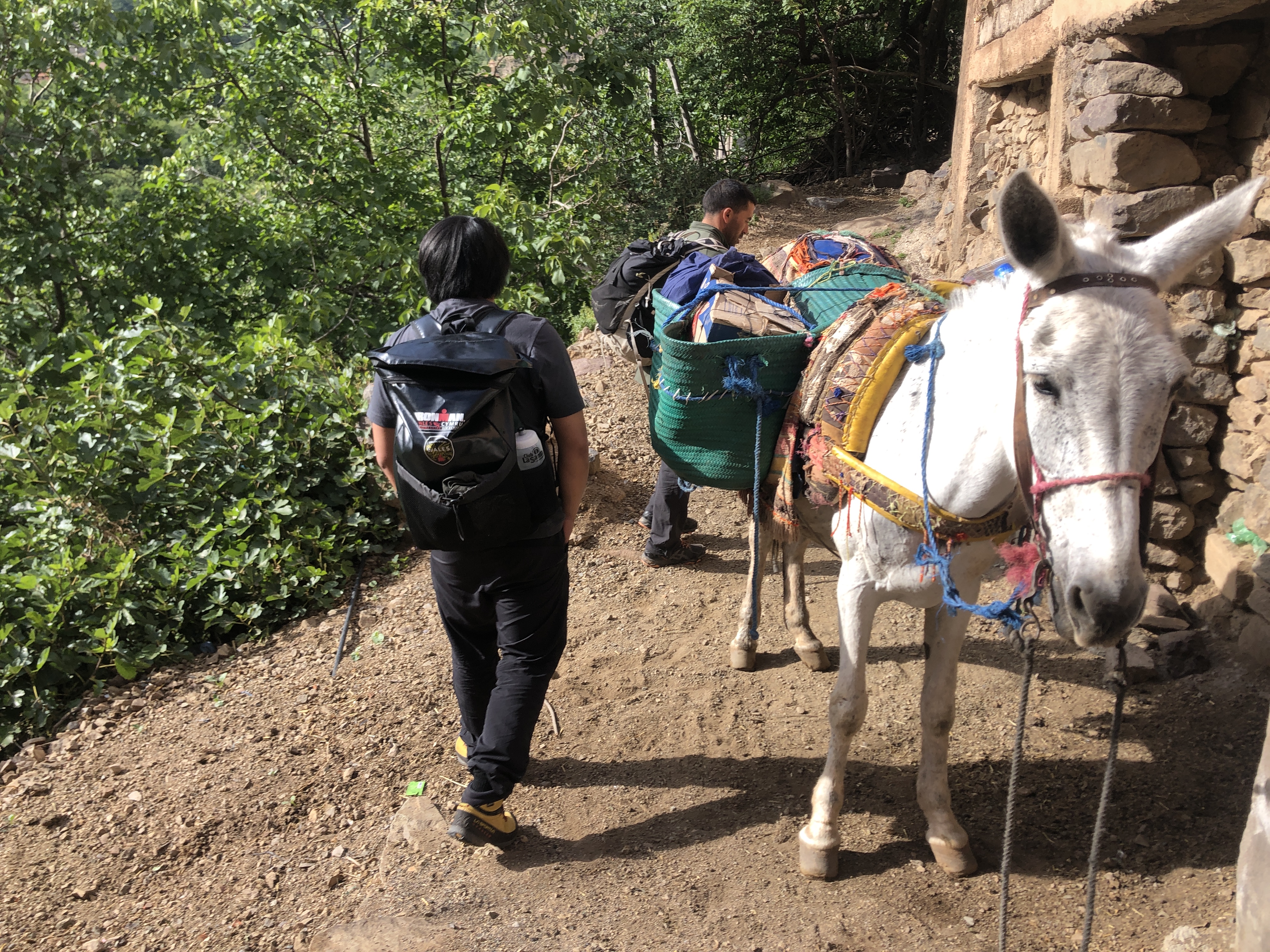 media_ZPH3Q2QKY8M8GM5Y