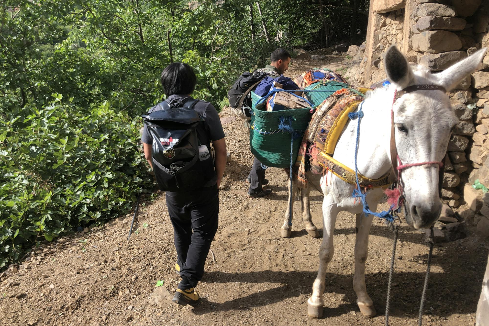 media_ZPH3Q2QKY8M8GM5Y