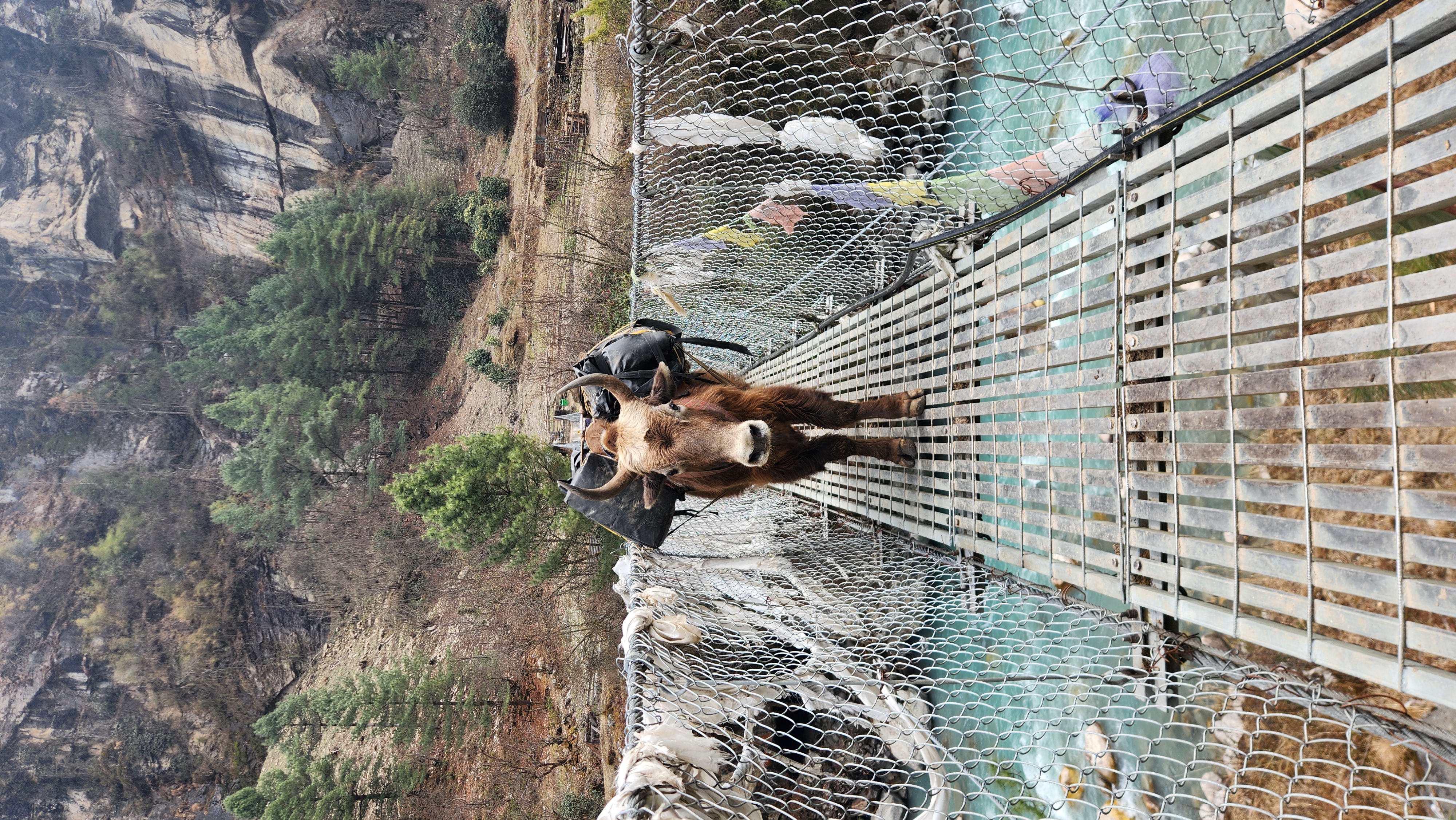 media_2XN5RKB33ABNGFS2