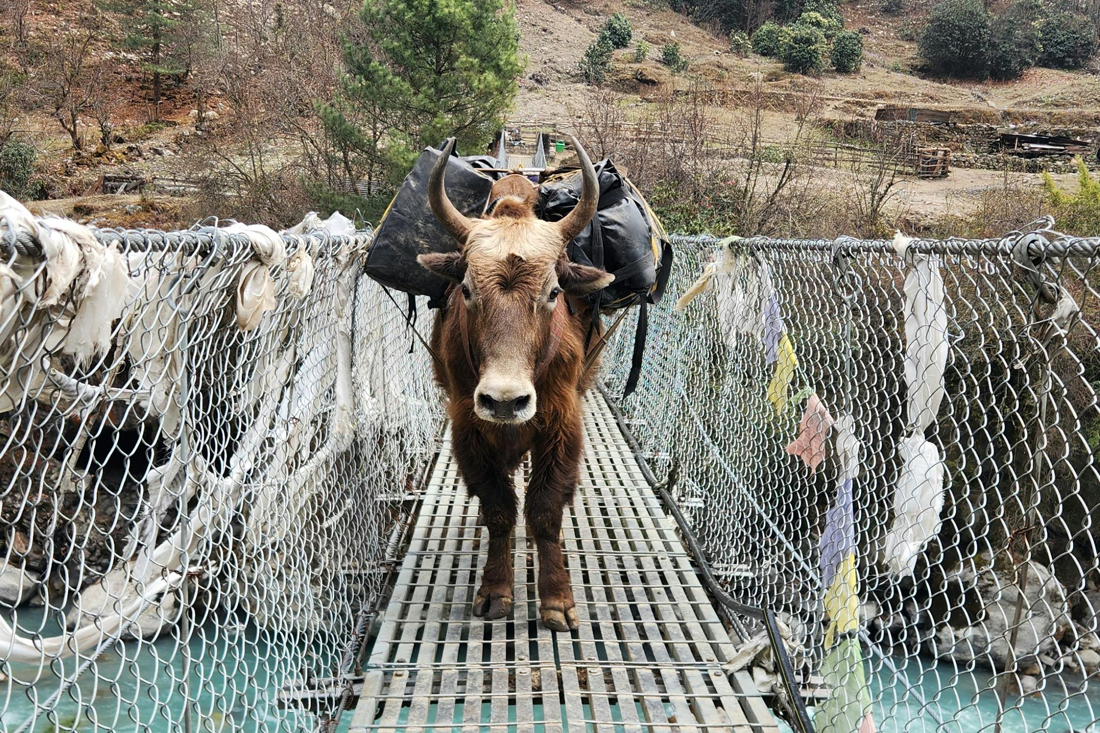 media_2XN5RKB33ABNGFS2