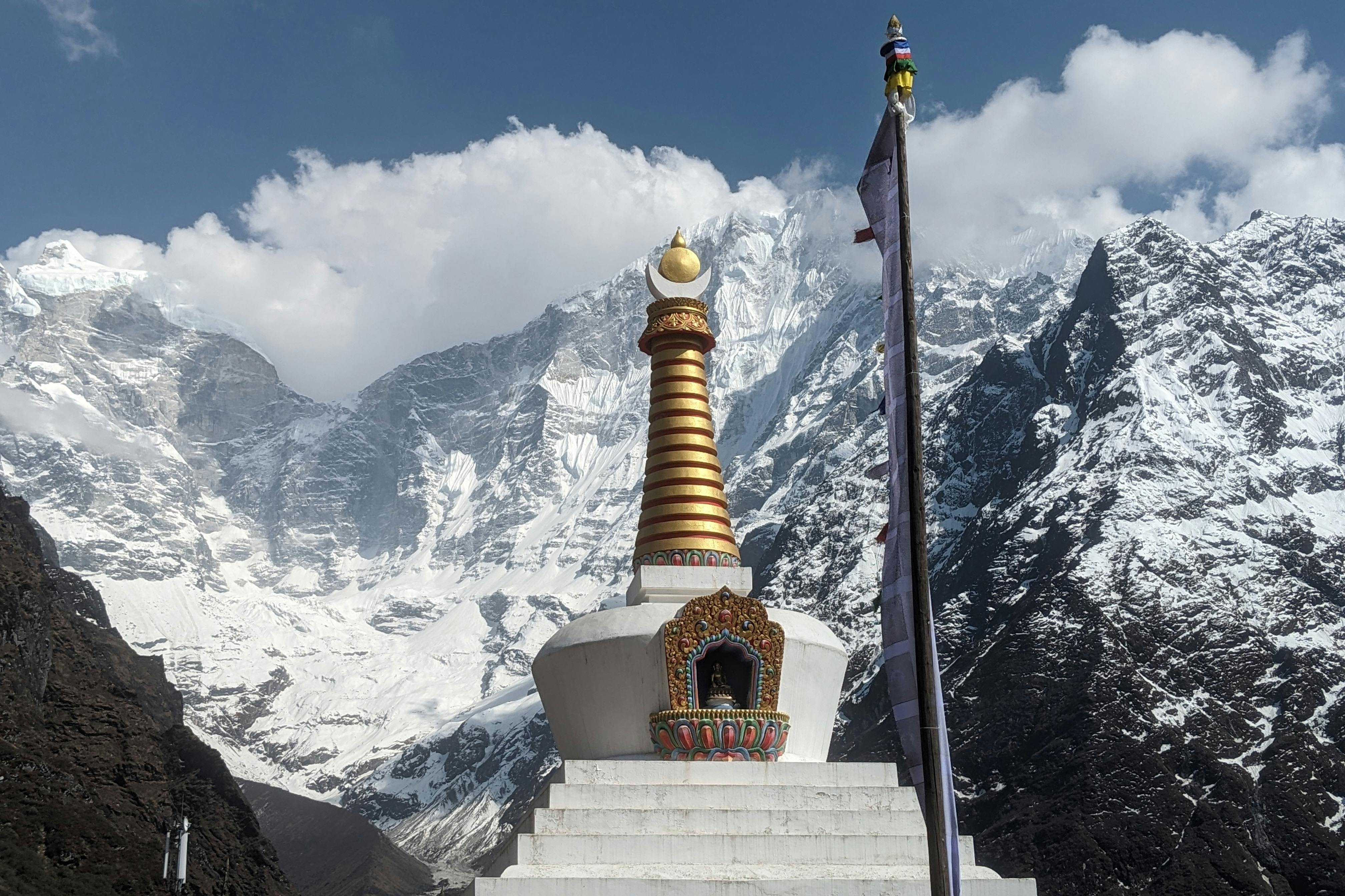 media_6Y85DVRRX6LZR5WQ