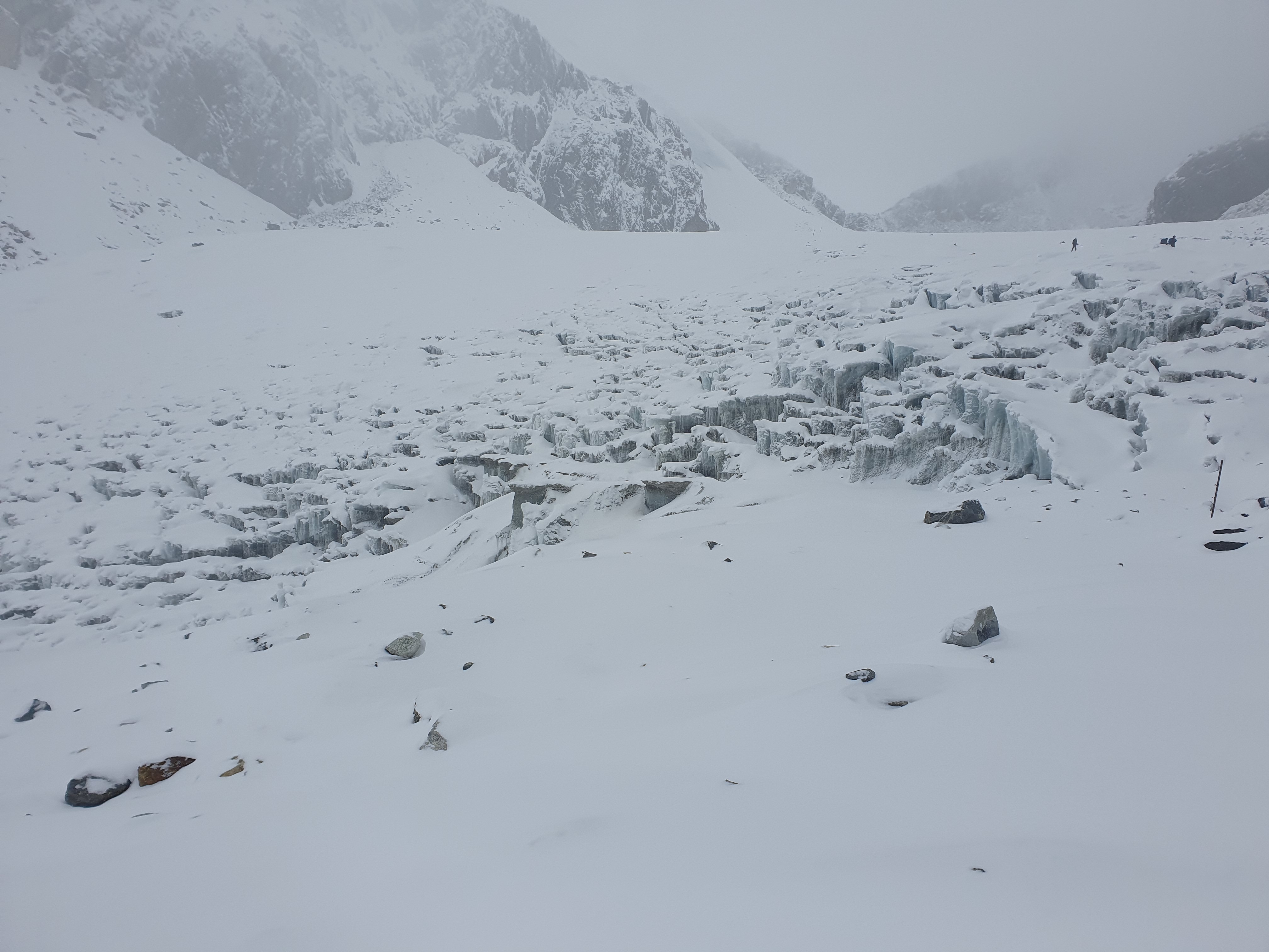 media_GWSAALG85T7LWBTZ