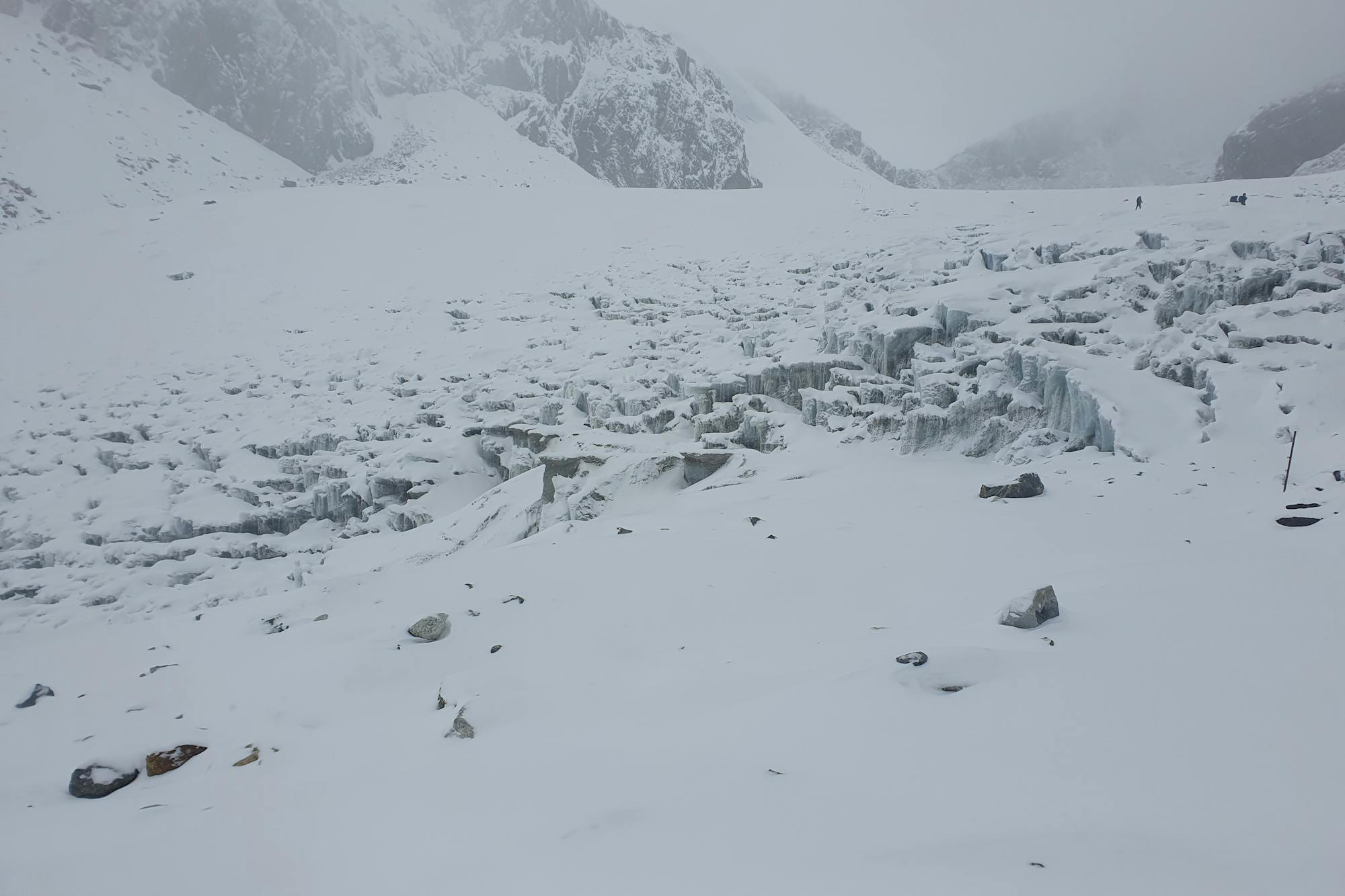 media_GWSAALG85T7LWBTZ