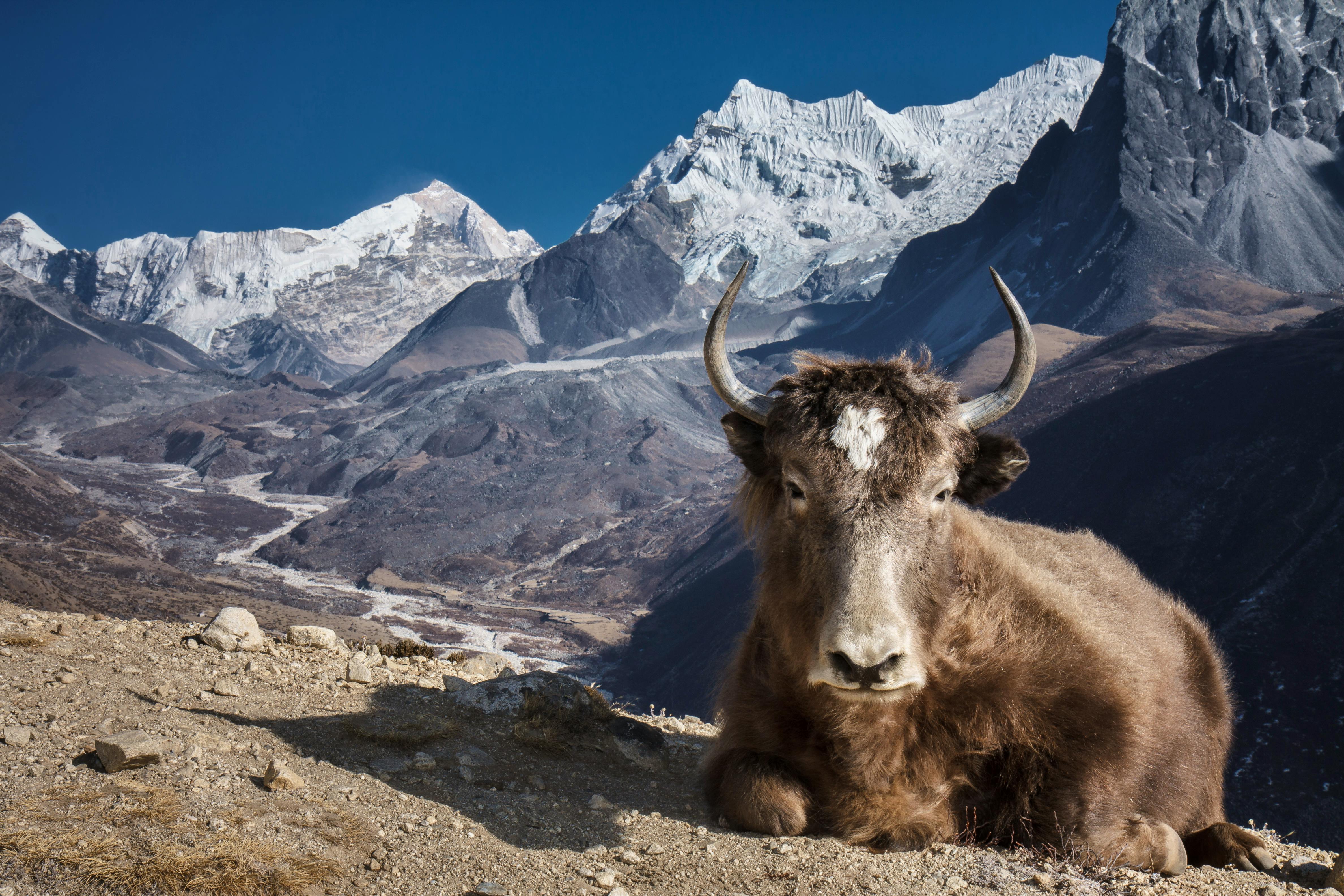 media_Y4SGXHCLEFVNE7ZE