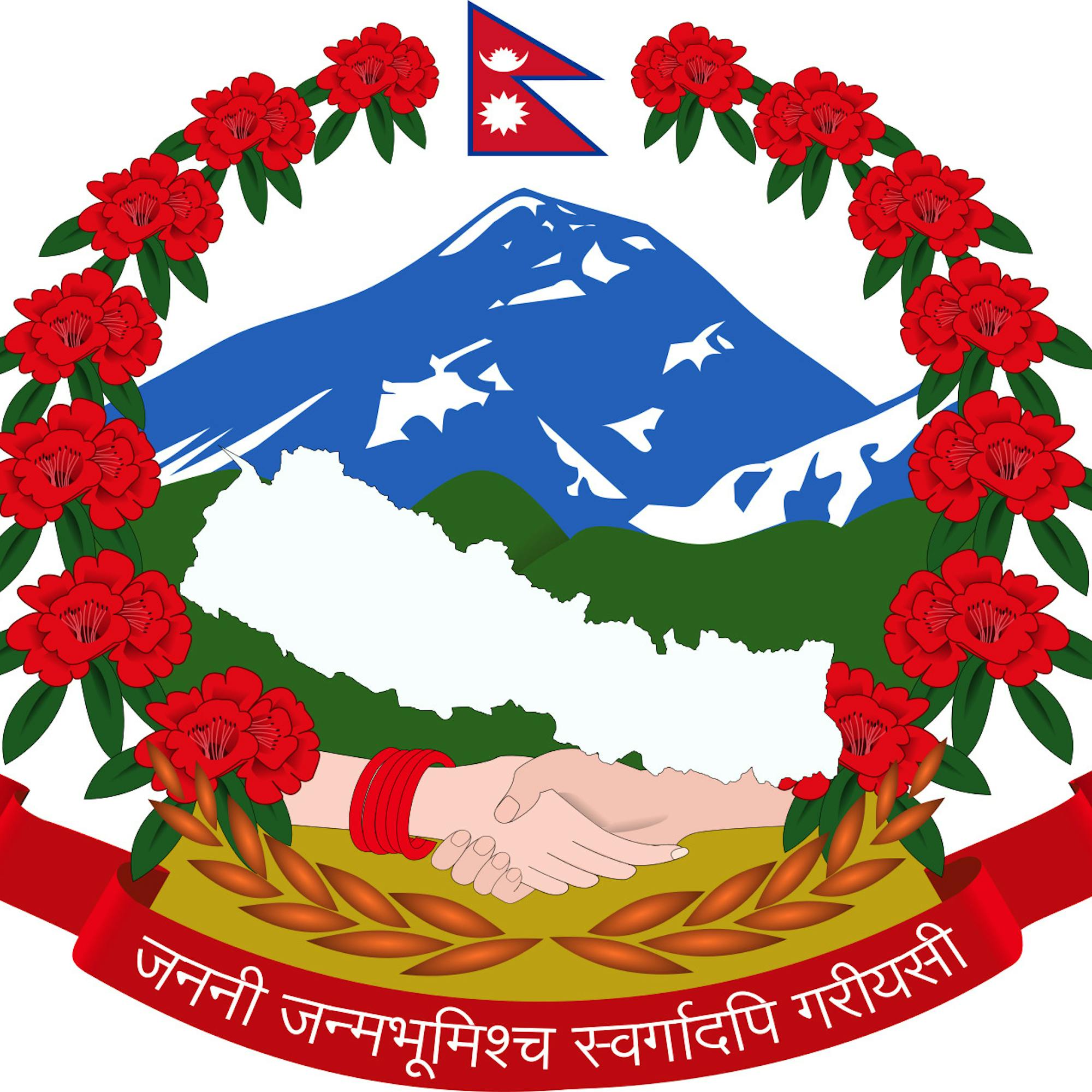 media_YV3VS4VCJFDRQFR4