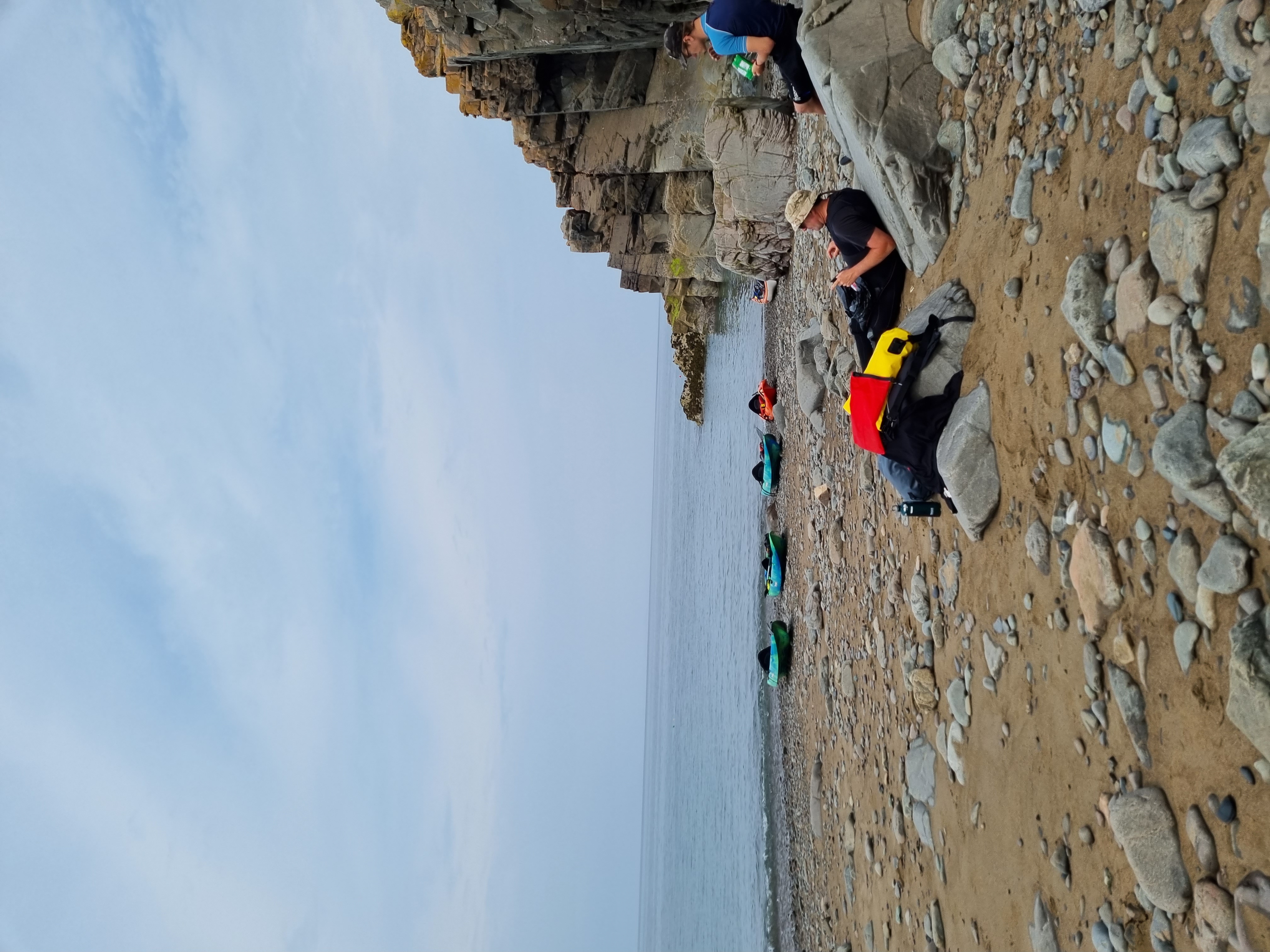 media_WXE29SQDPZ56CU4T