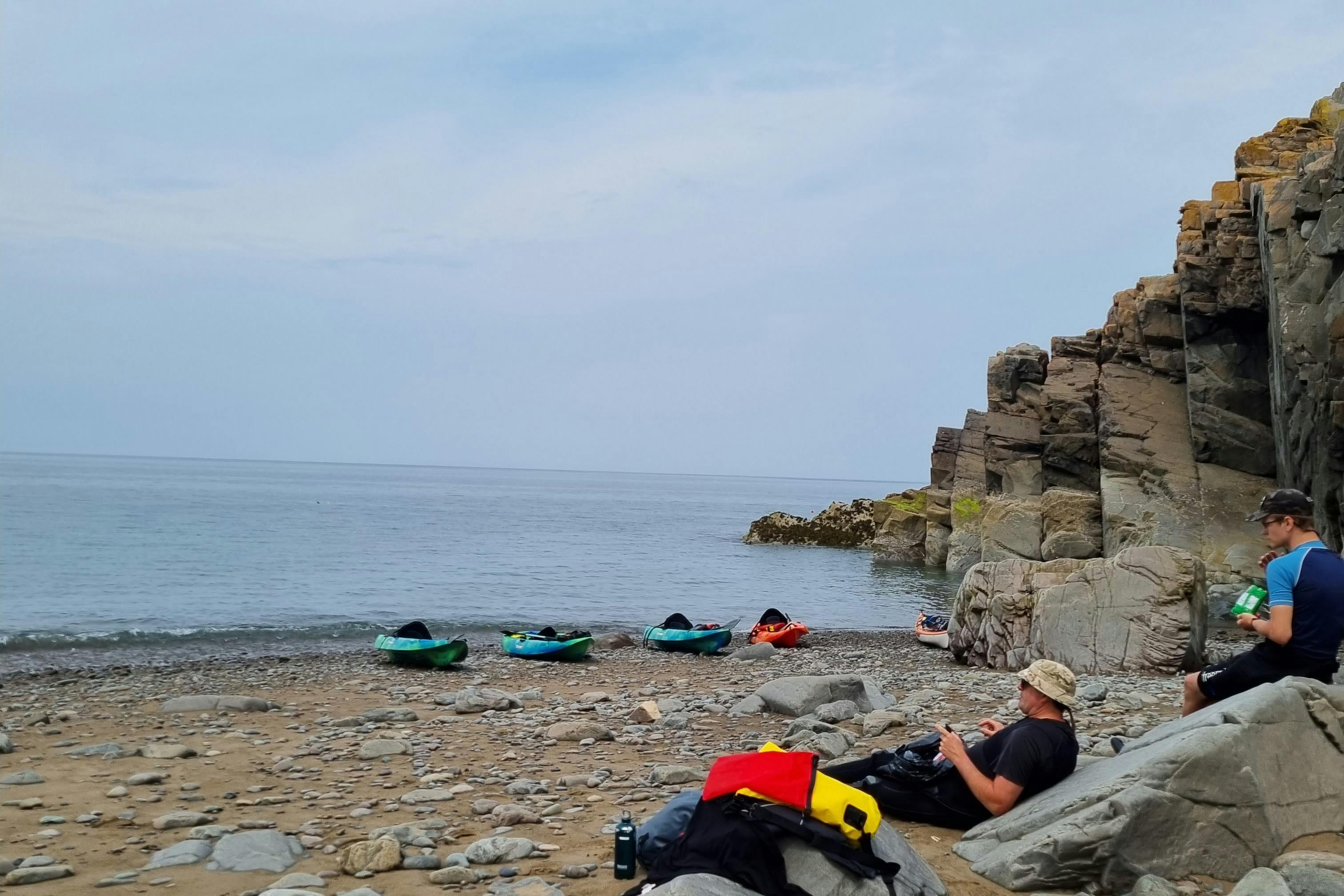 media_WXE29SQDPZ56CU4T