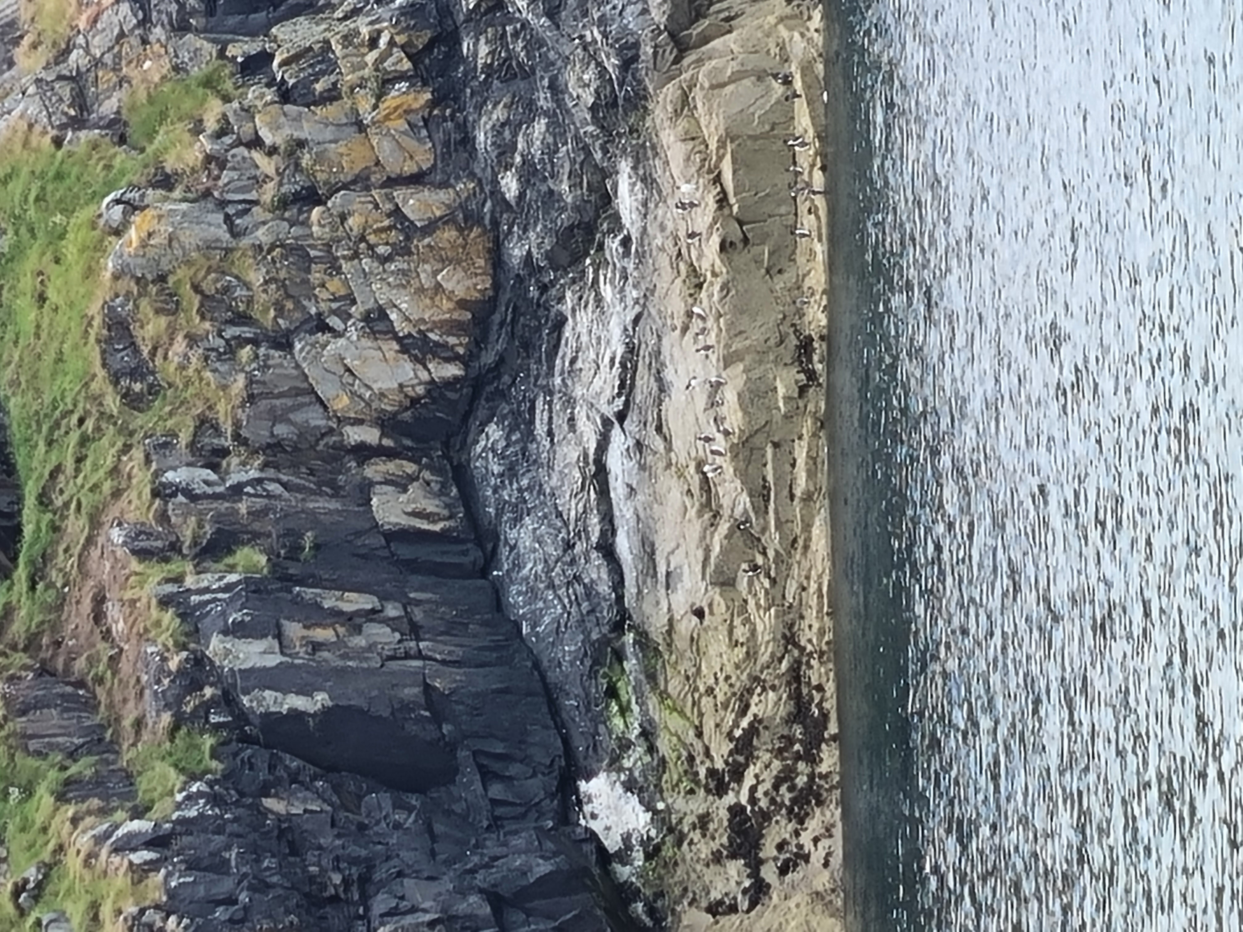 media_X8G85TLEX9WN8YH9