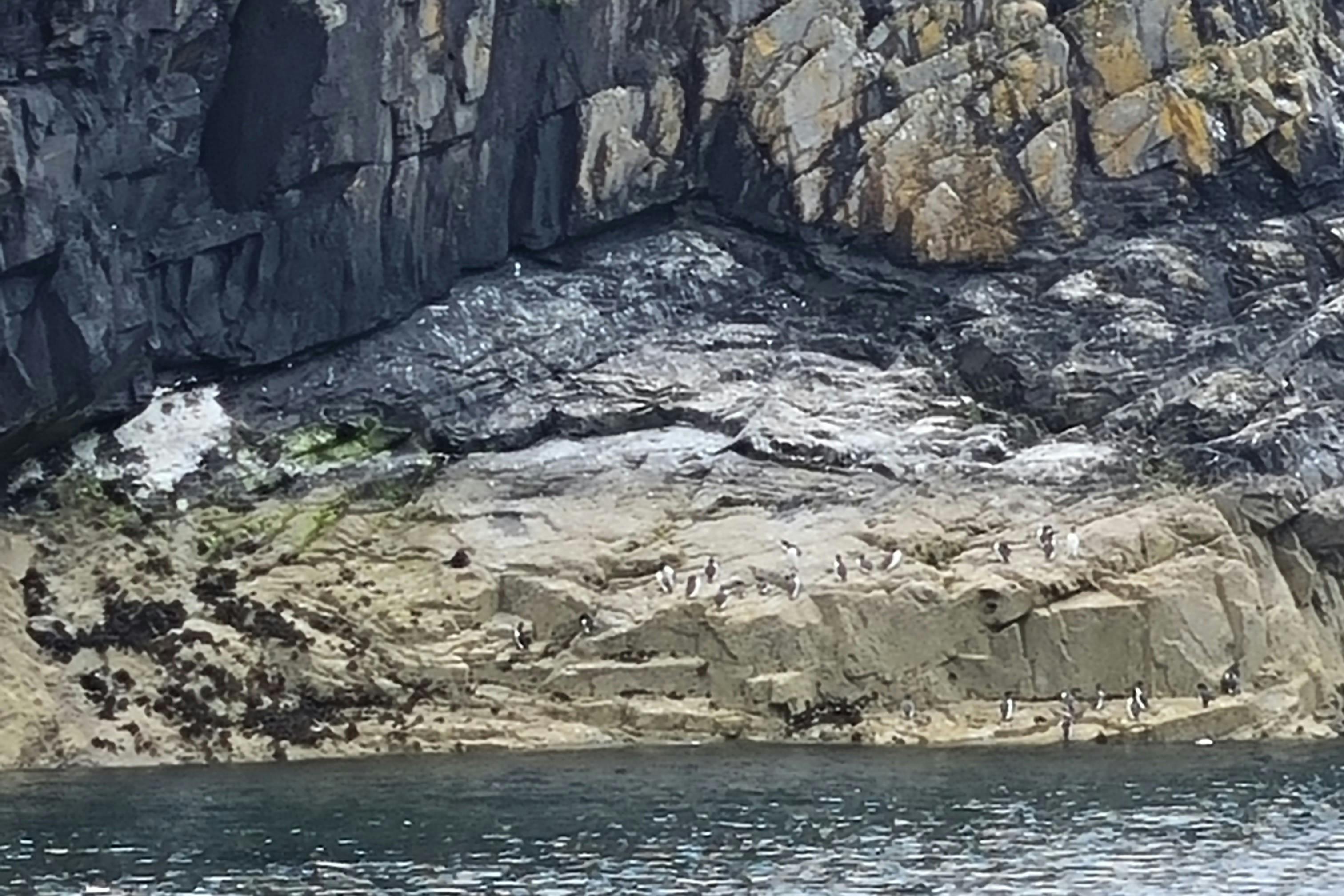 media_X8G85TLEX9WN8YH9