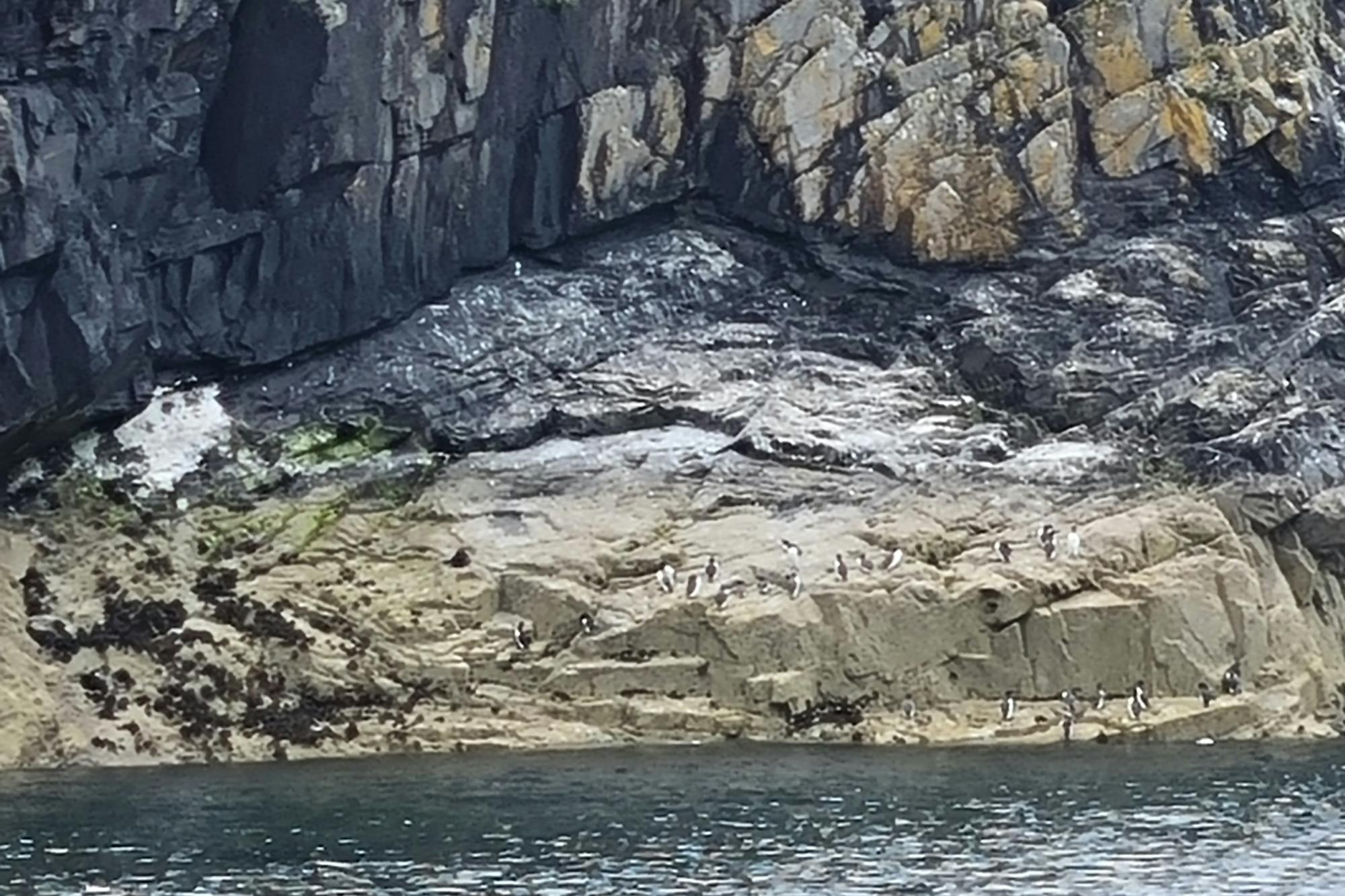 media_X8G85TLEX9WN8YH9