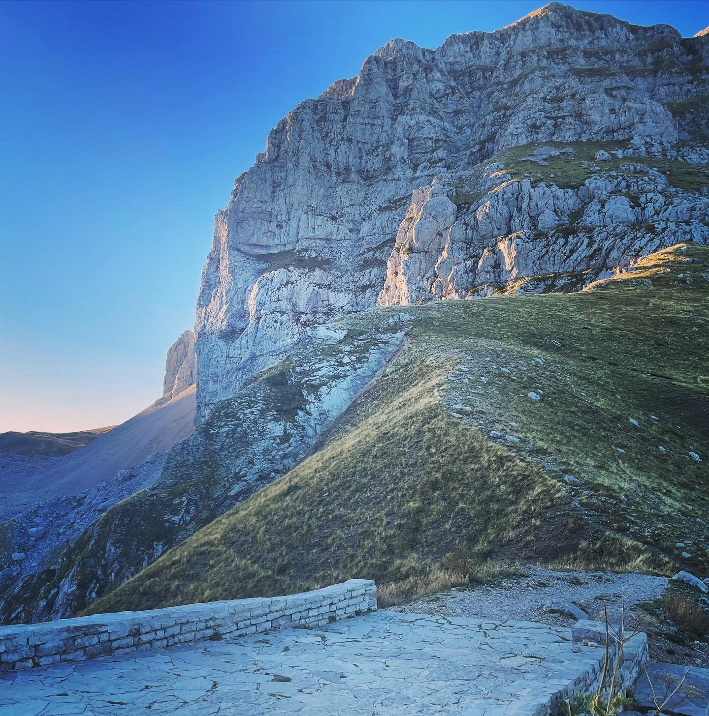 media_ACZ2WRZVX9P529JZ