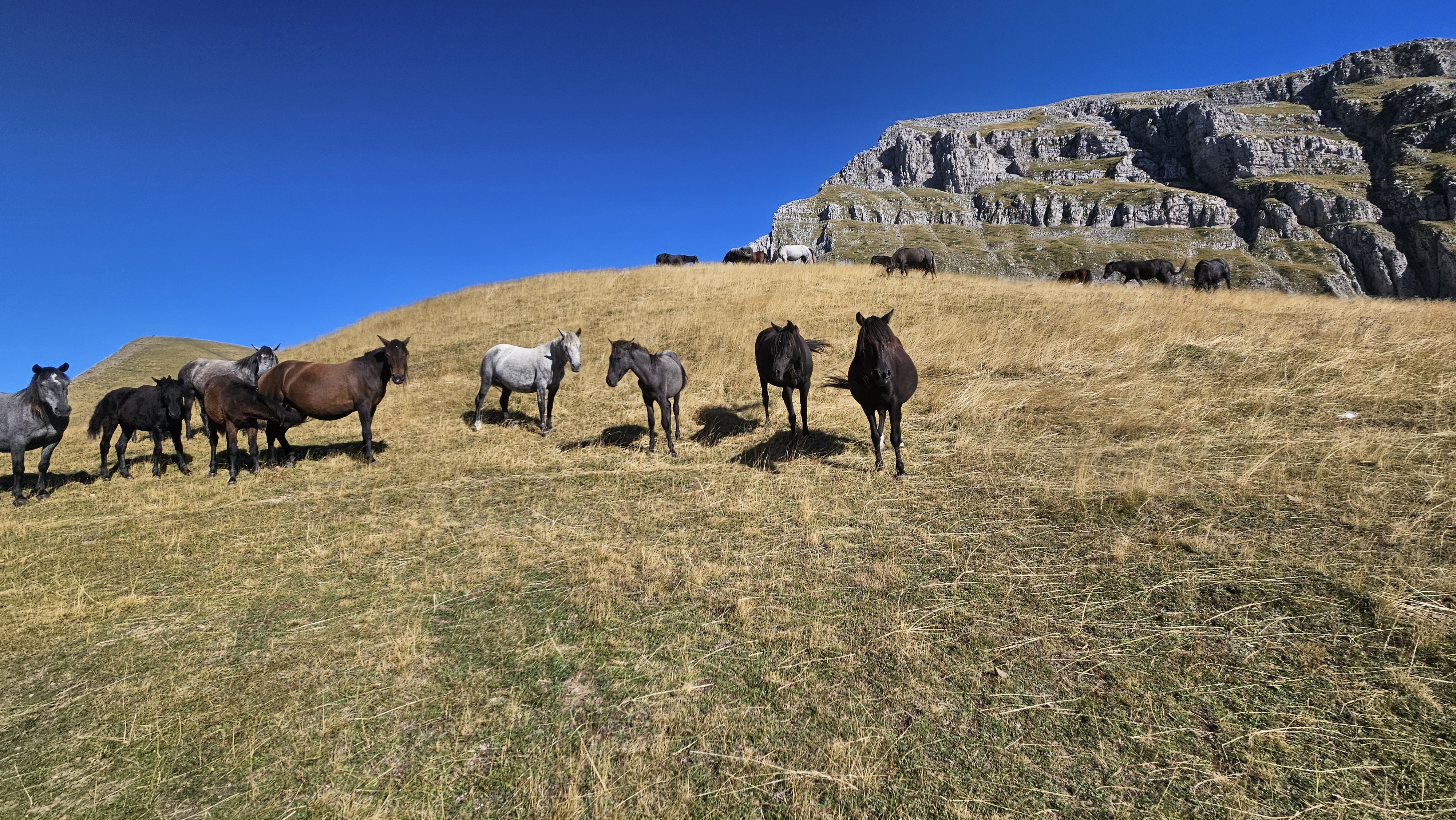 media_AU36MTPVQ89EVTJL