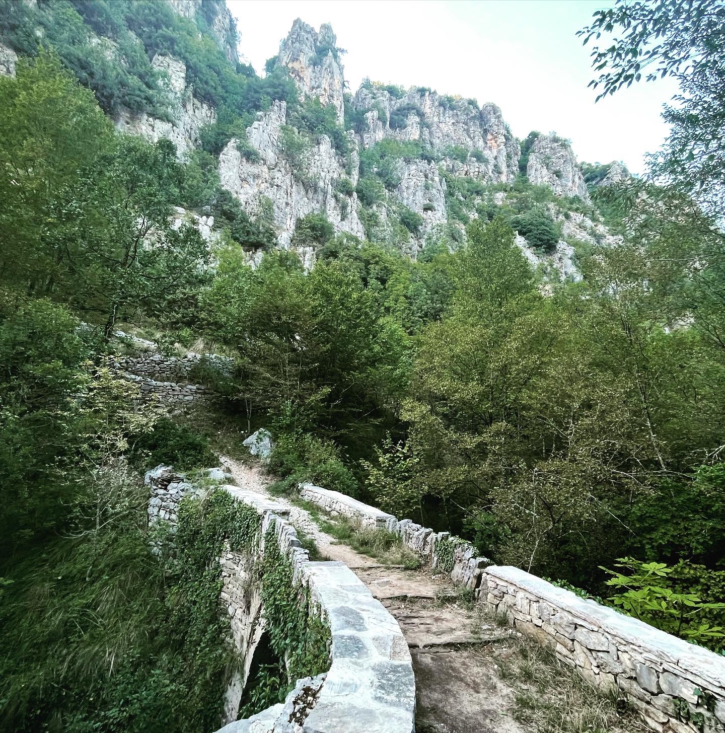 media_C6LAAMYU3YFS6F8D