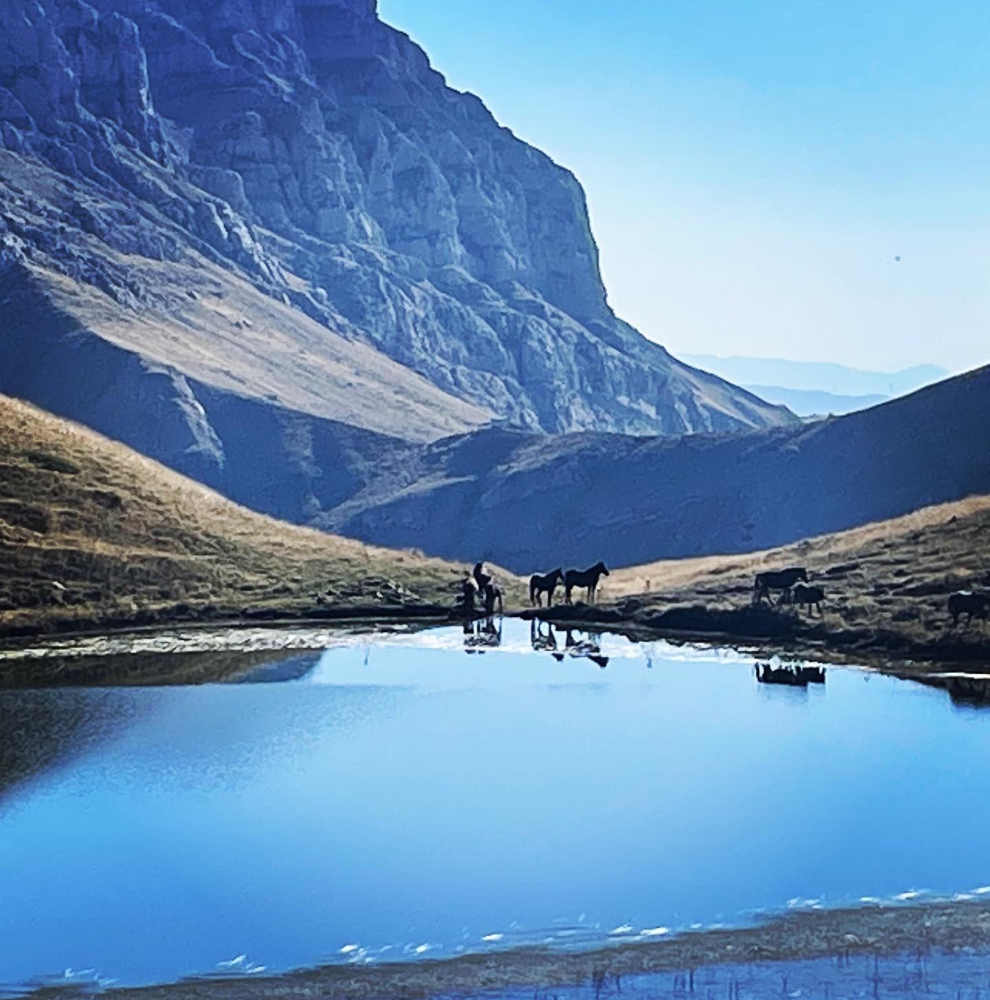 media_ECM3FPHB8WGKKDMJ