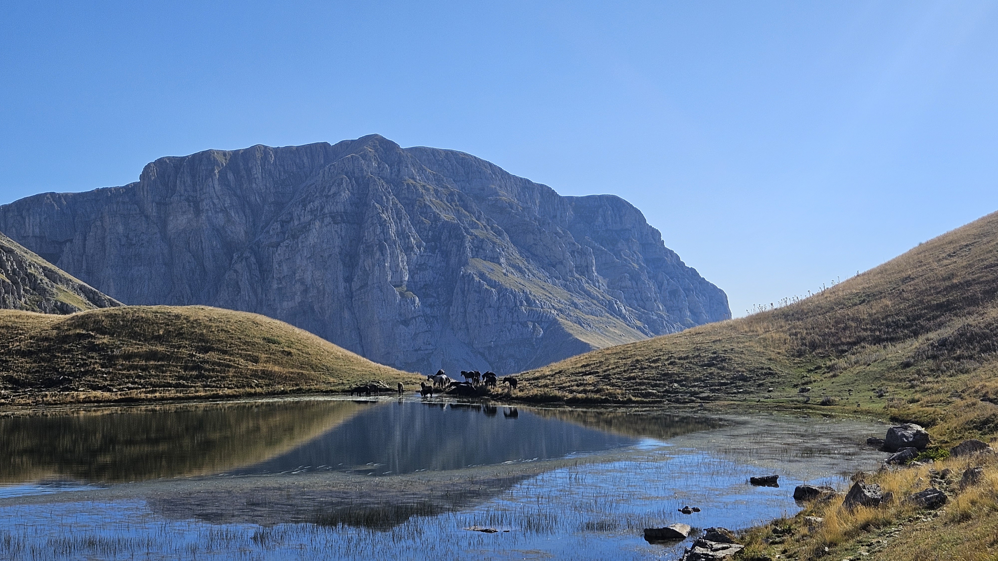 media_K8WLH4Y33C4F7FYM