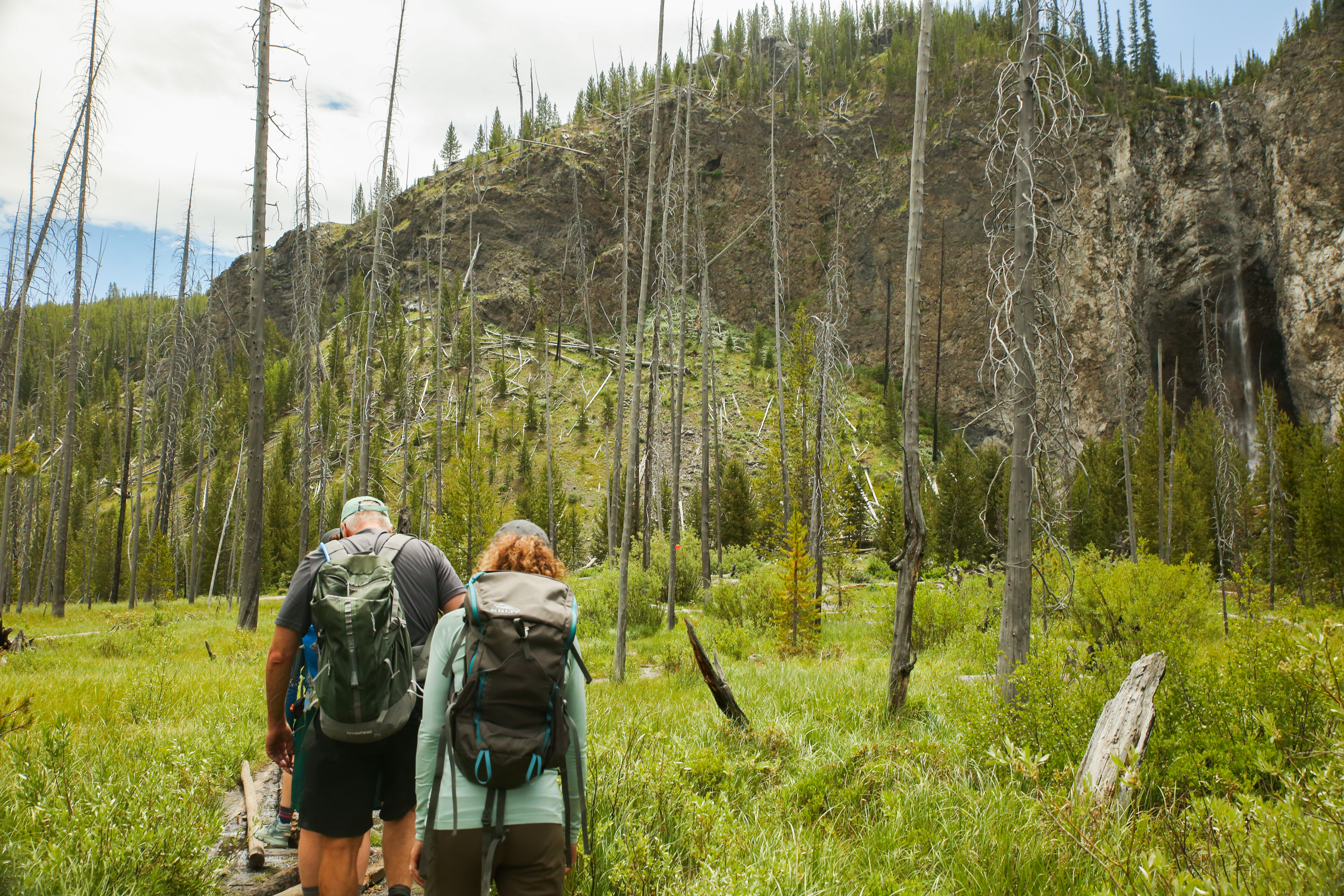 Washington Olympics and Cascades Adventure