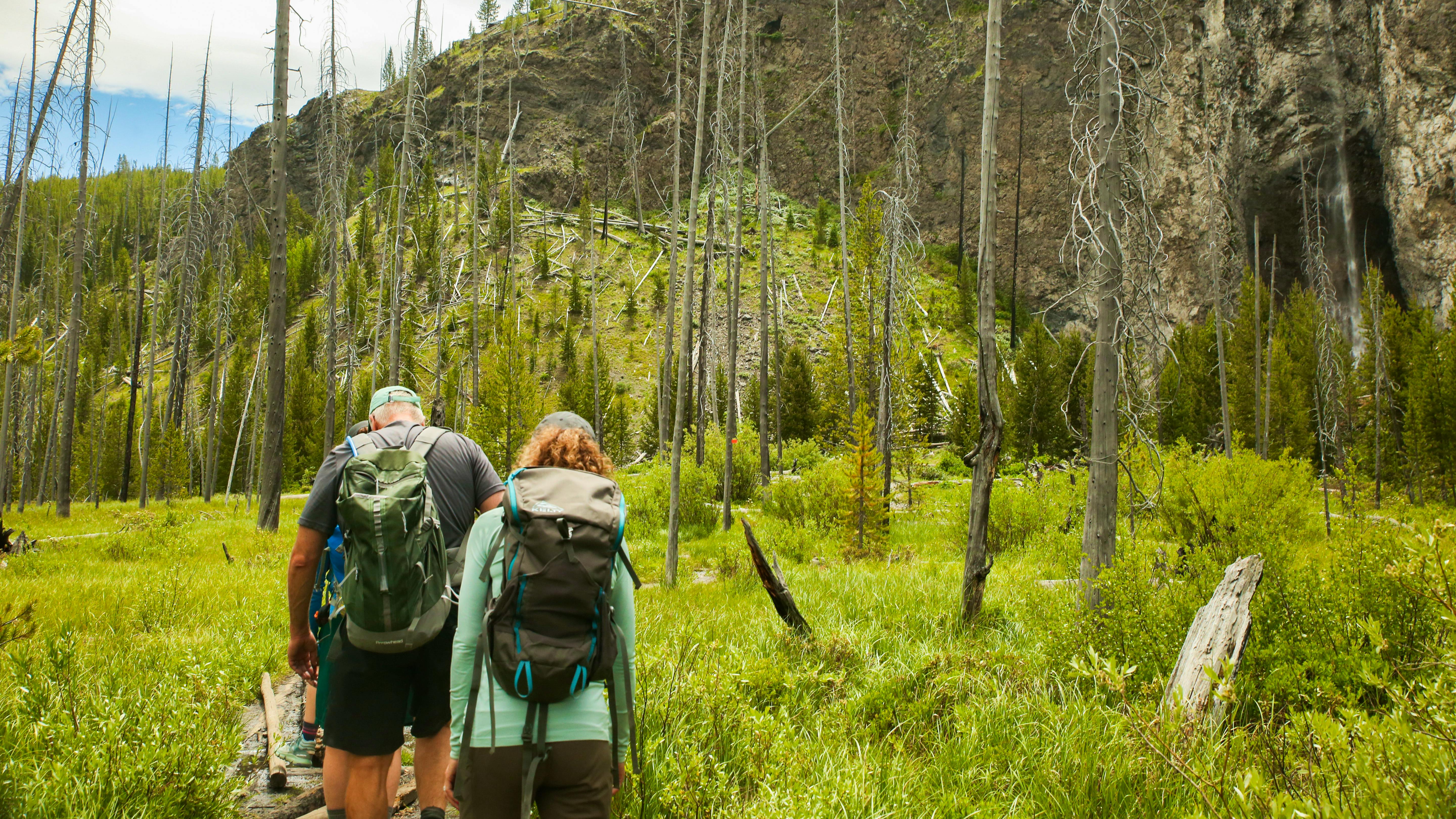 Washington Olympics and Cascades Adventure