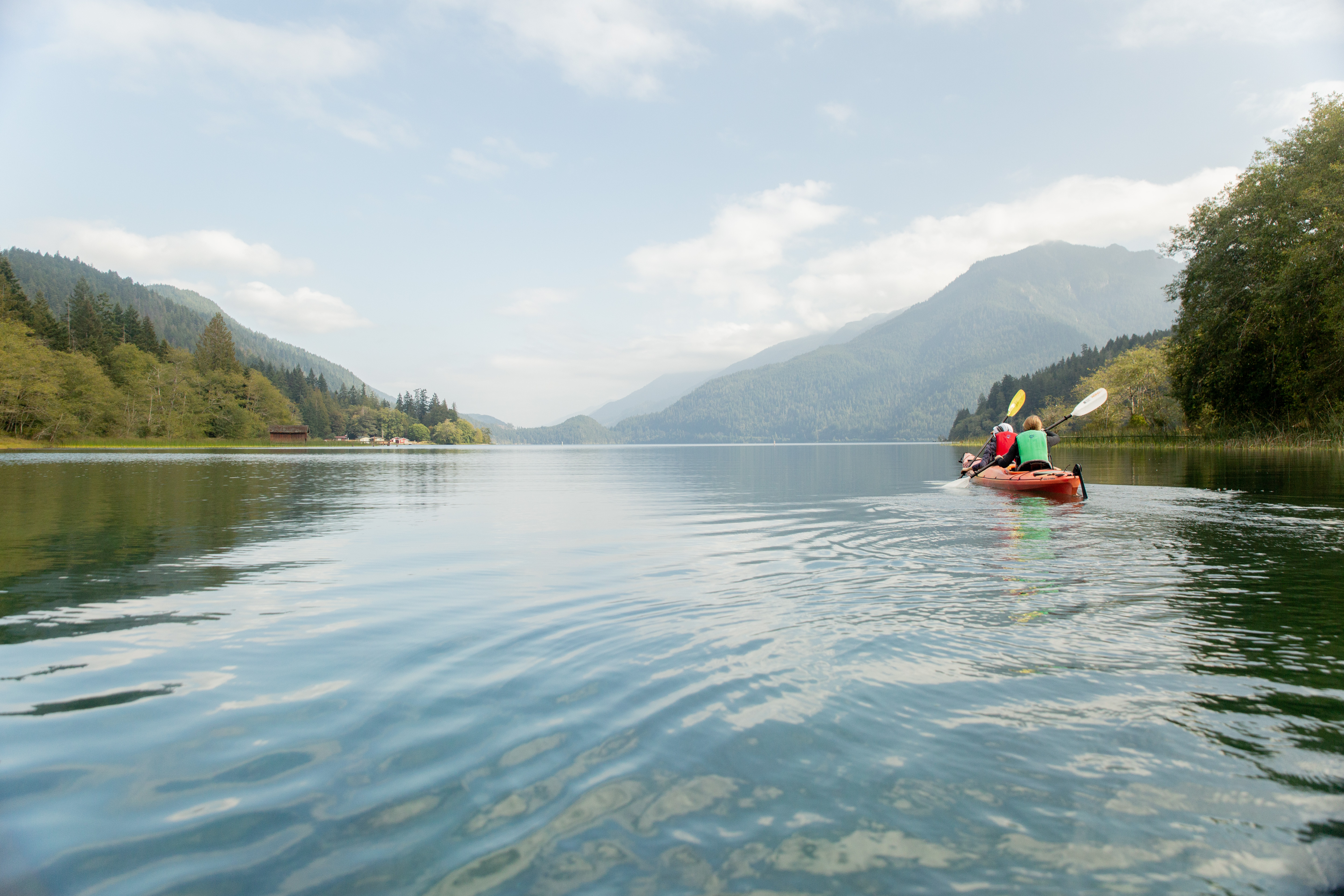 media_4XDFVEKMTCVBQ88N