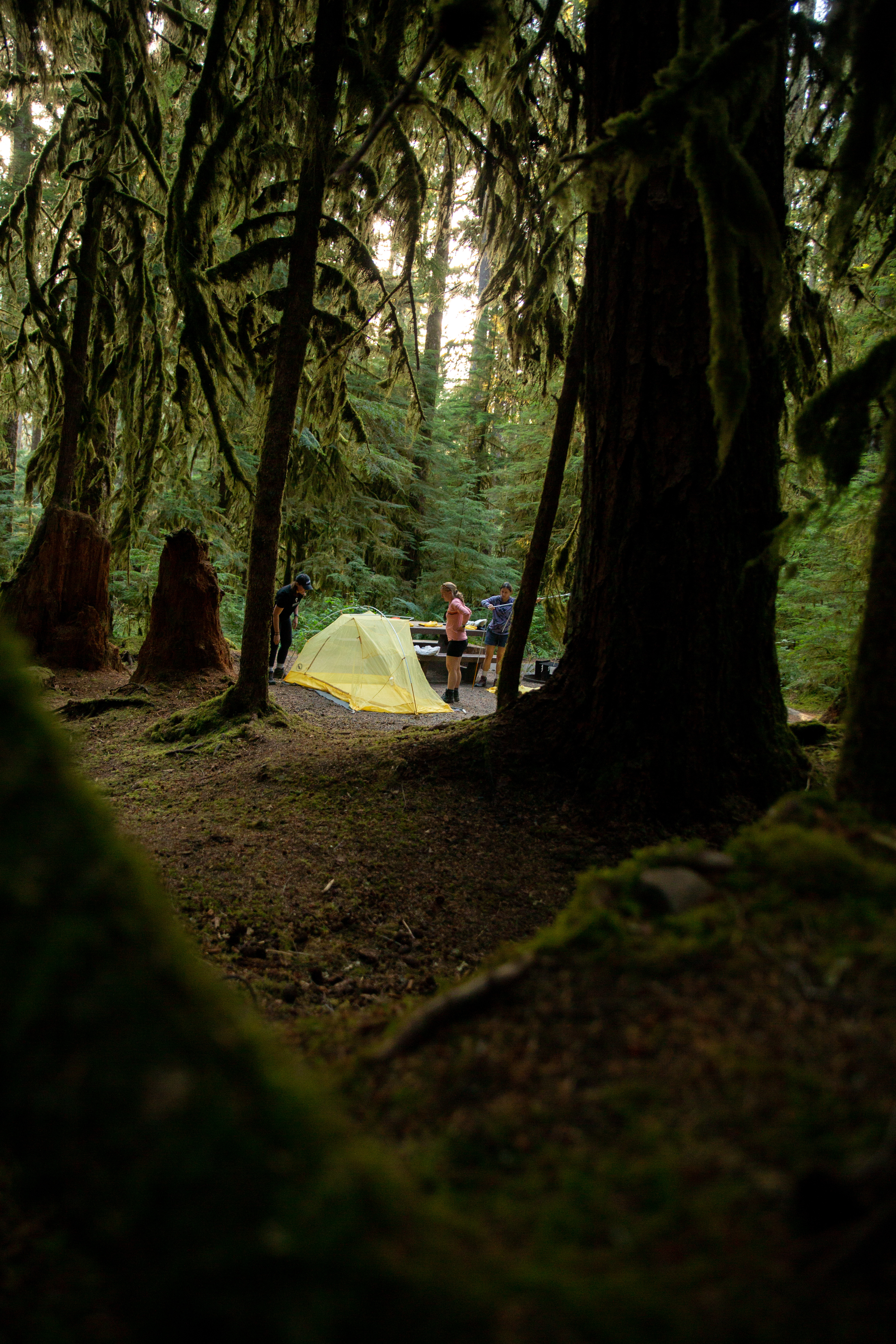 media_D8FPW6MSJS2MF6KY